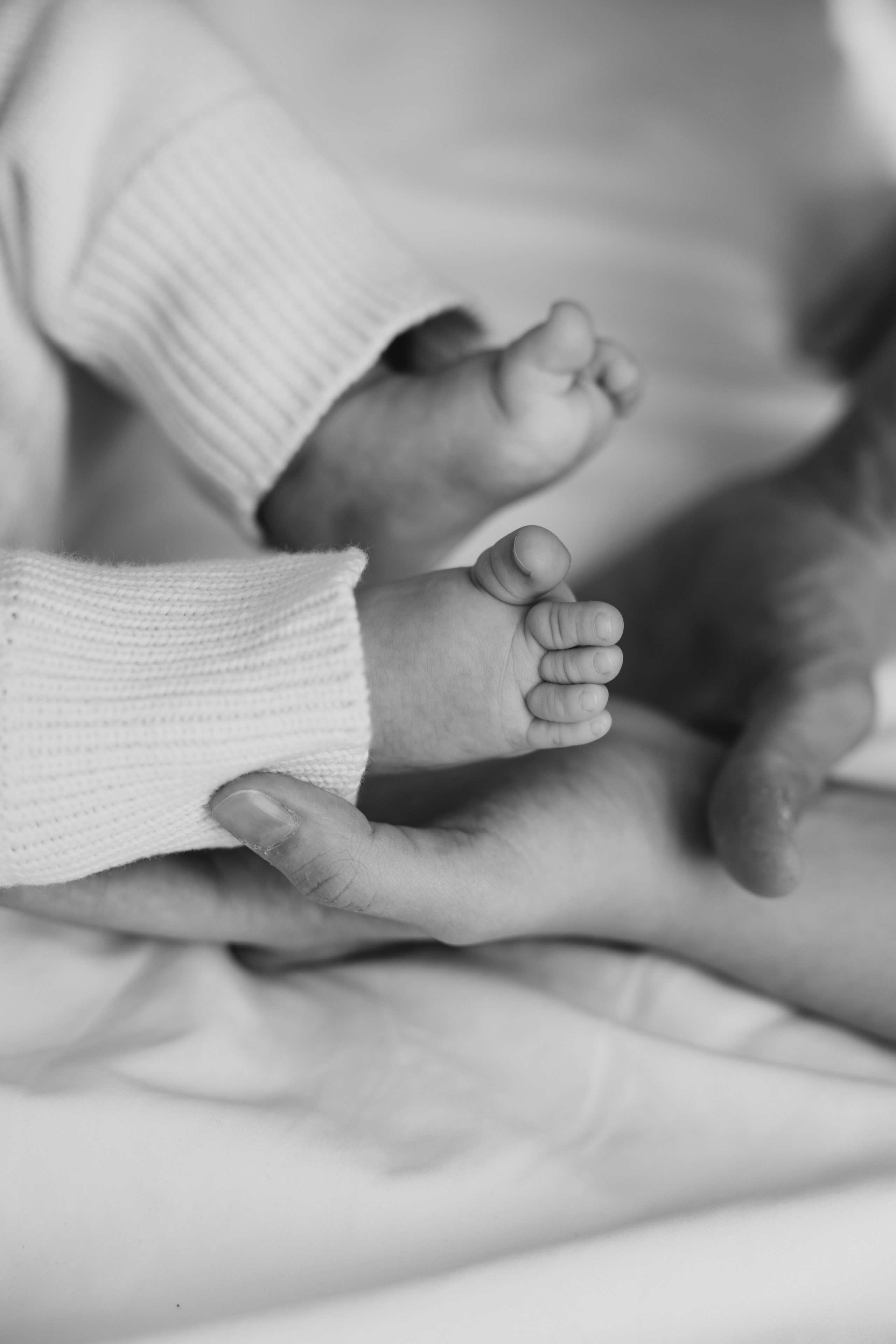 Алёна, Дима и Стеша. Майорова Валерия Фотограф Ставрополь