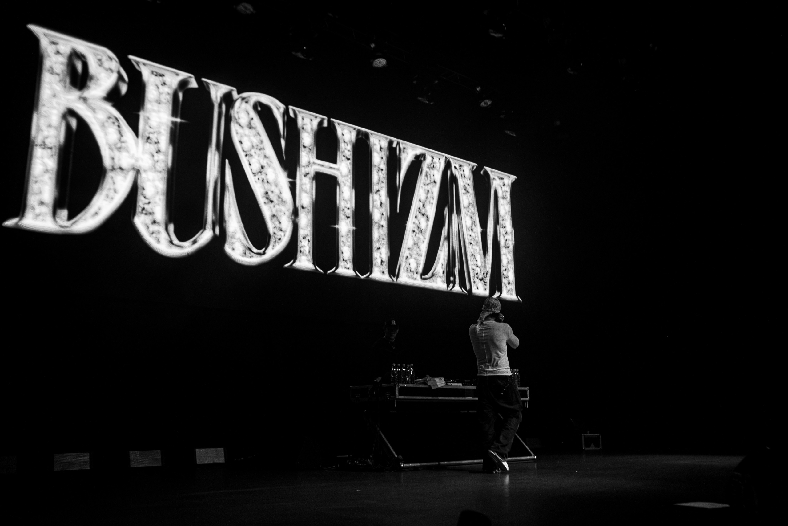 Концертные съемки | Concert photos. Фотограф Полина Ванханен