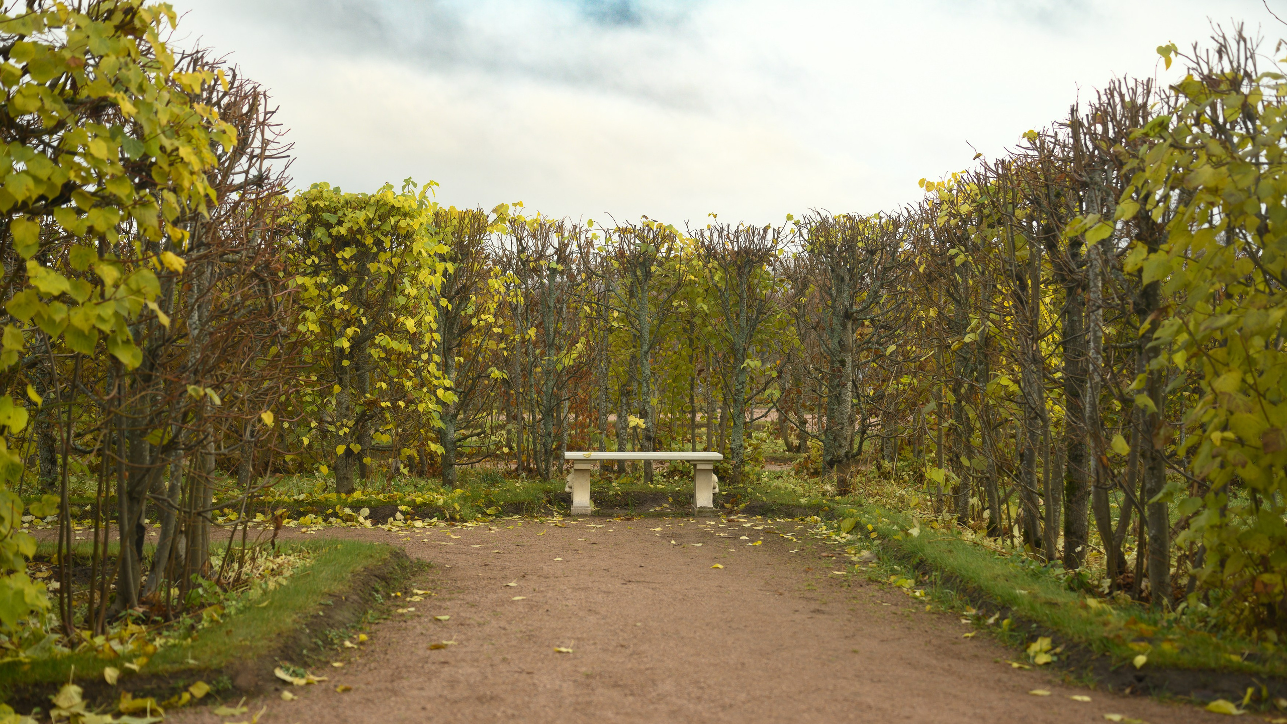 SAINT PETERSBURG | SUBURBS. Personal website of photographer Dmitry Raikin