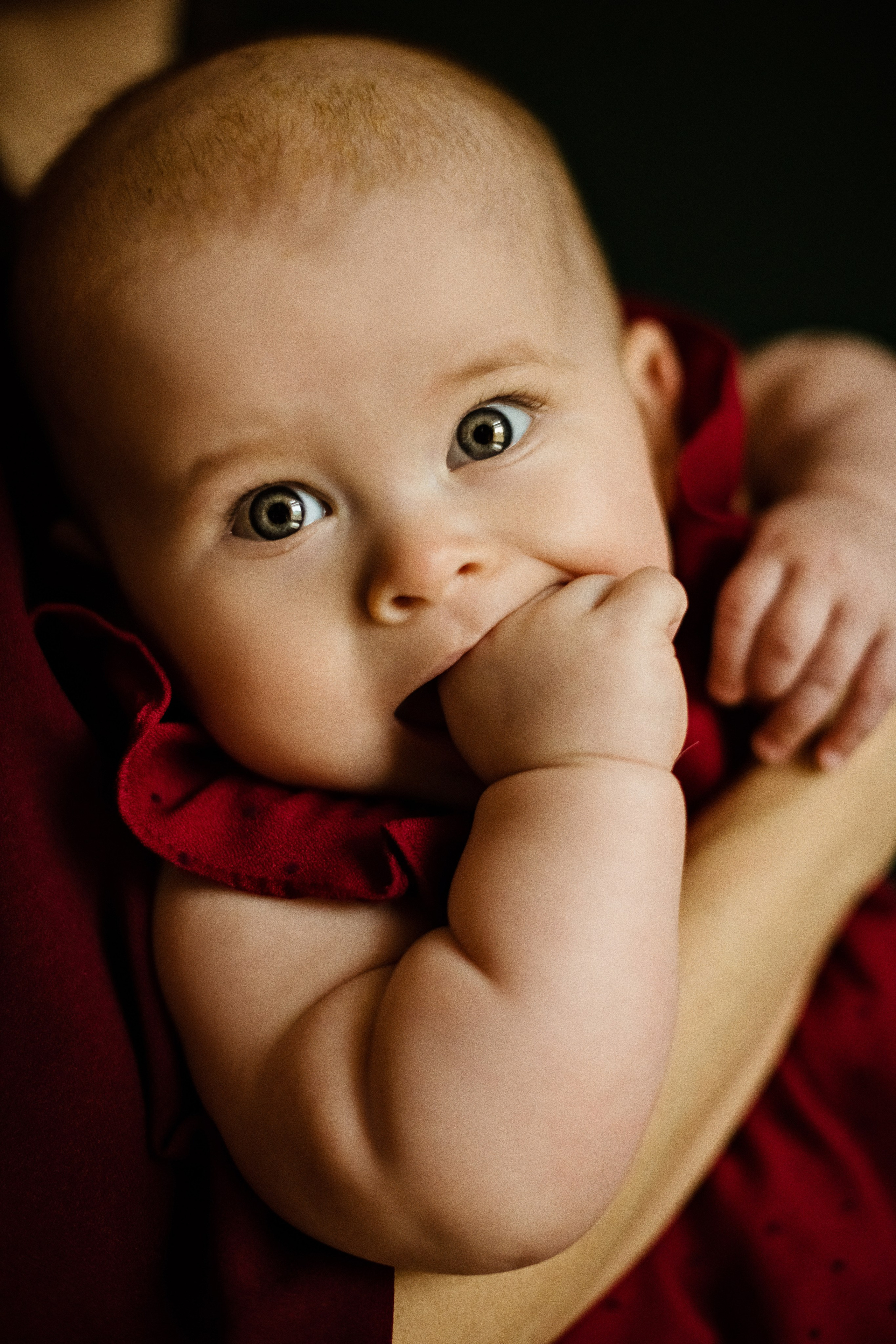 Галя и Рома. Свадебный фотограф в Санкт-Петербурге София Шубик