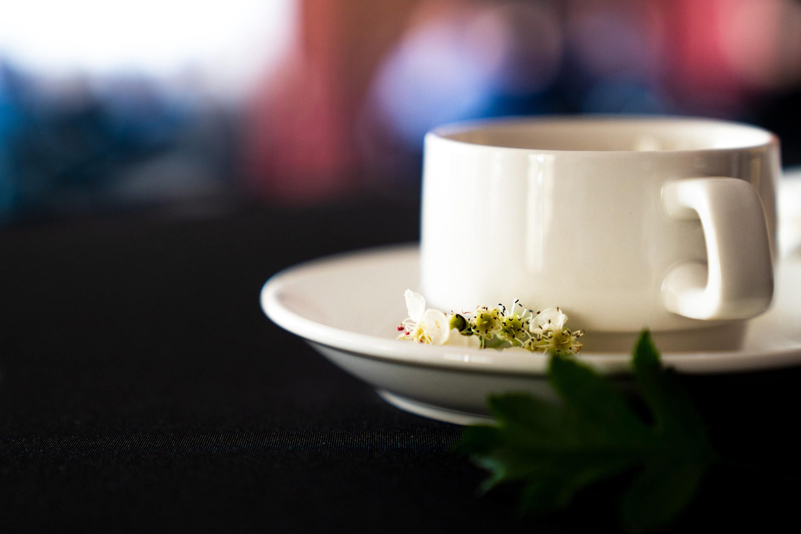 Мероприятия. Фотограф Михаил Еремин