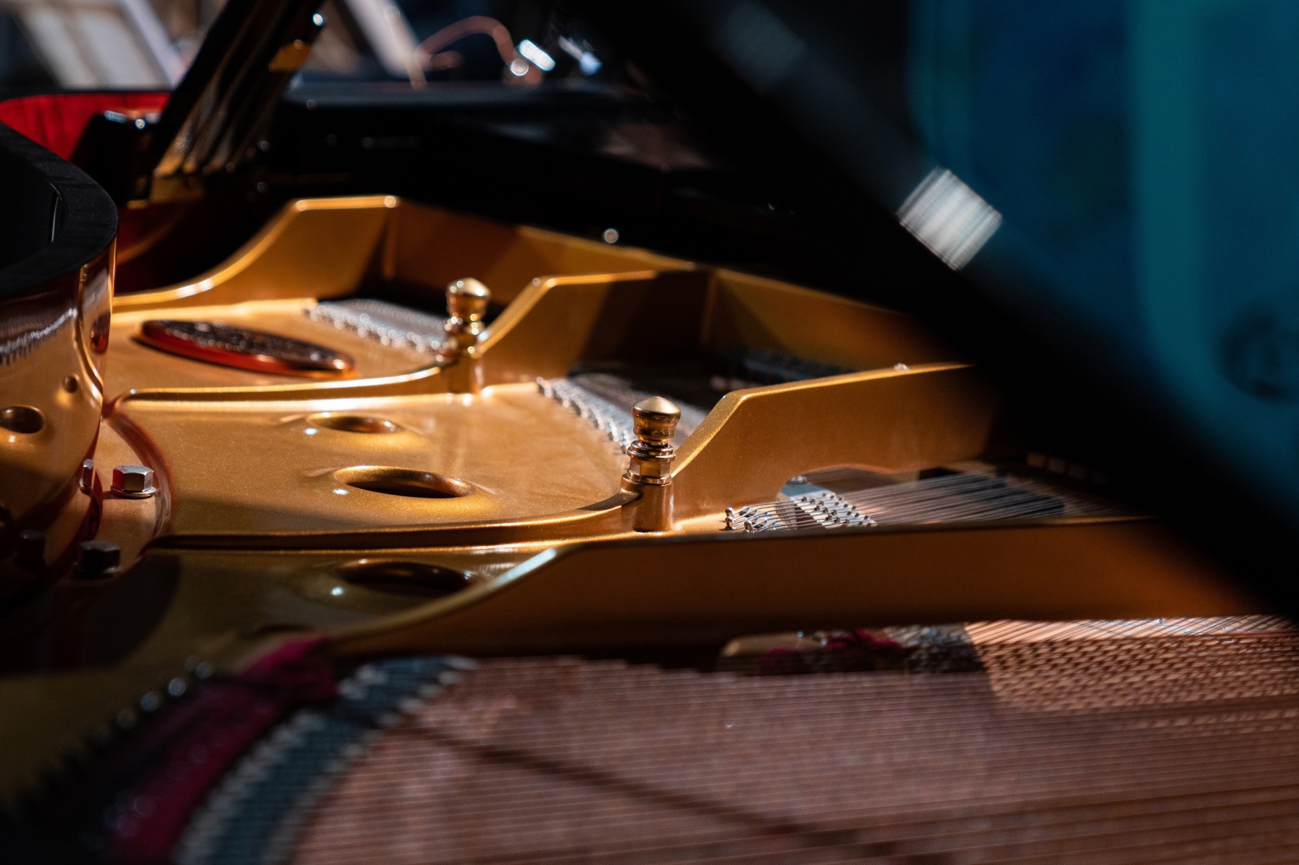 Мероприятия. Фотограф Михаил Еремин