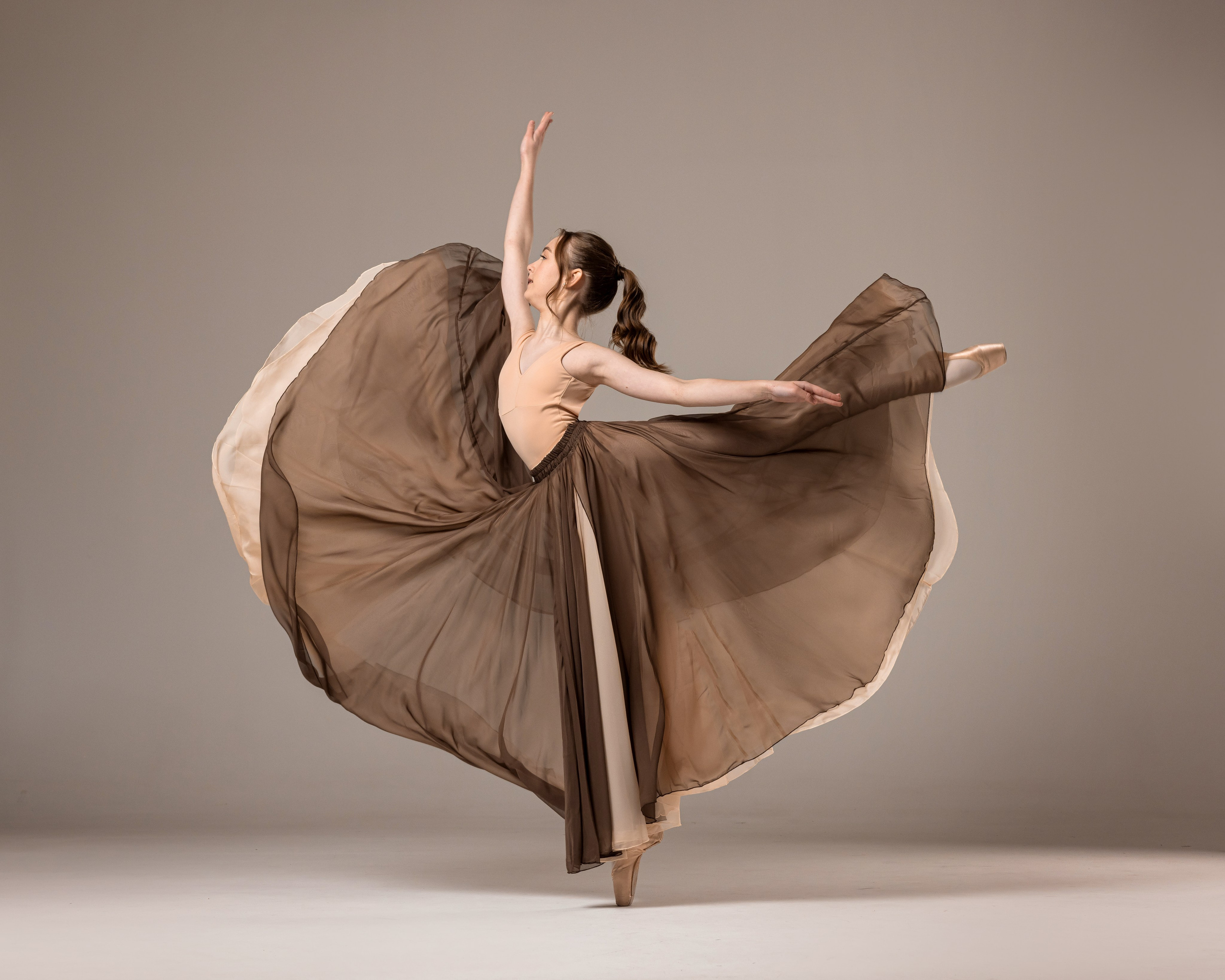 Кофейная воздушная юбка напрокат бесплатно. Балетный фотограф Алина Ханько — Душа Балета