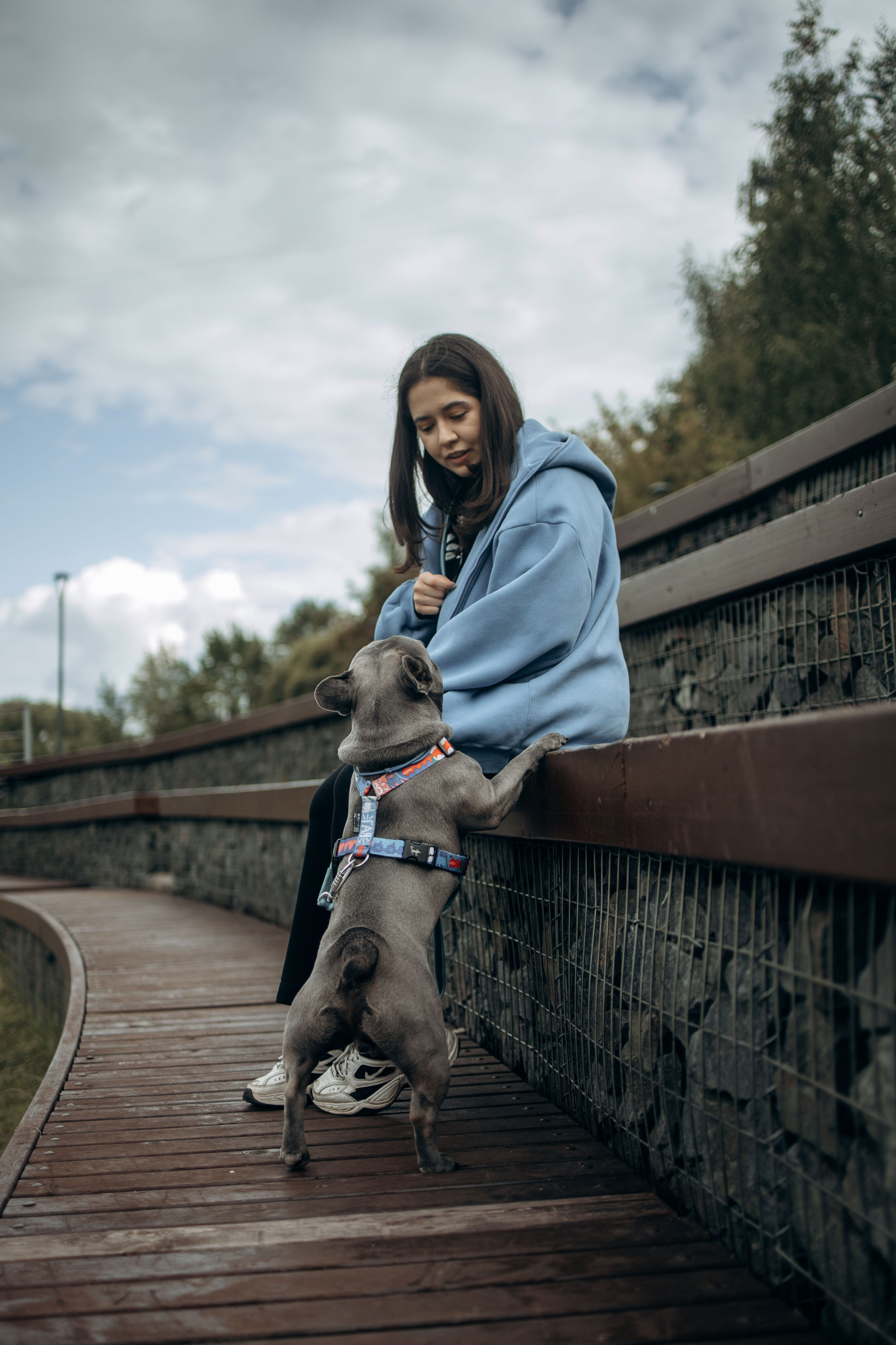 Грей и его семья