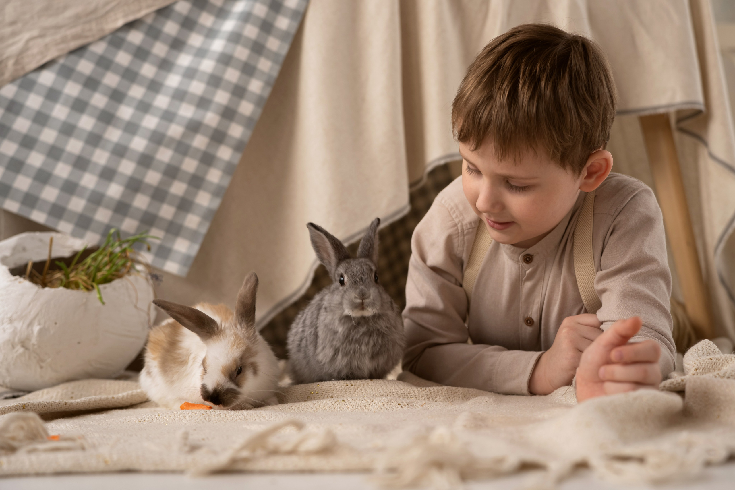 Дети и кролики. Главная