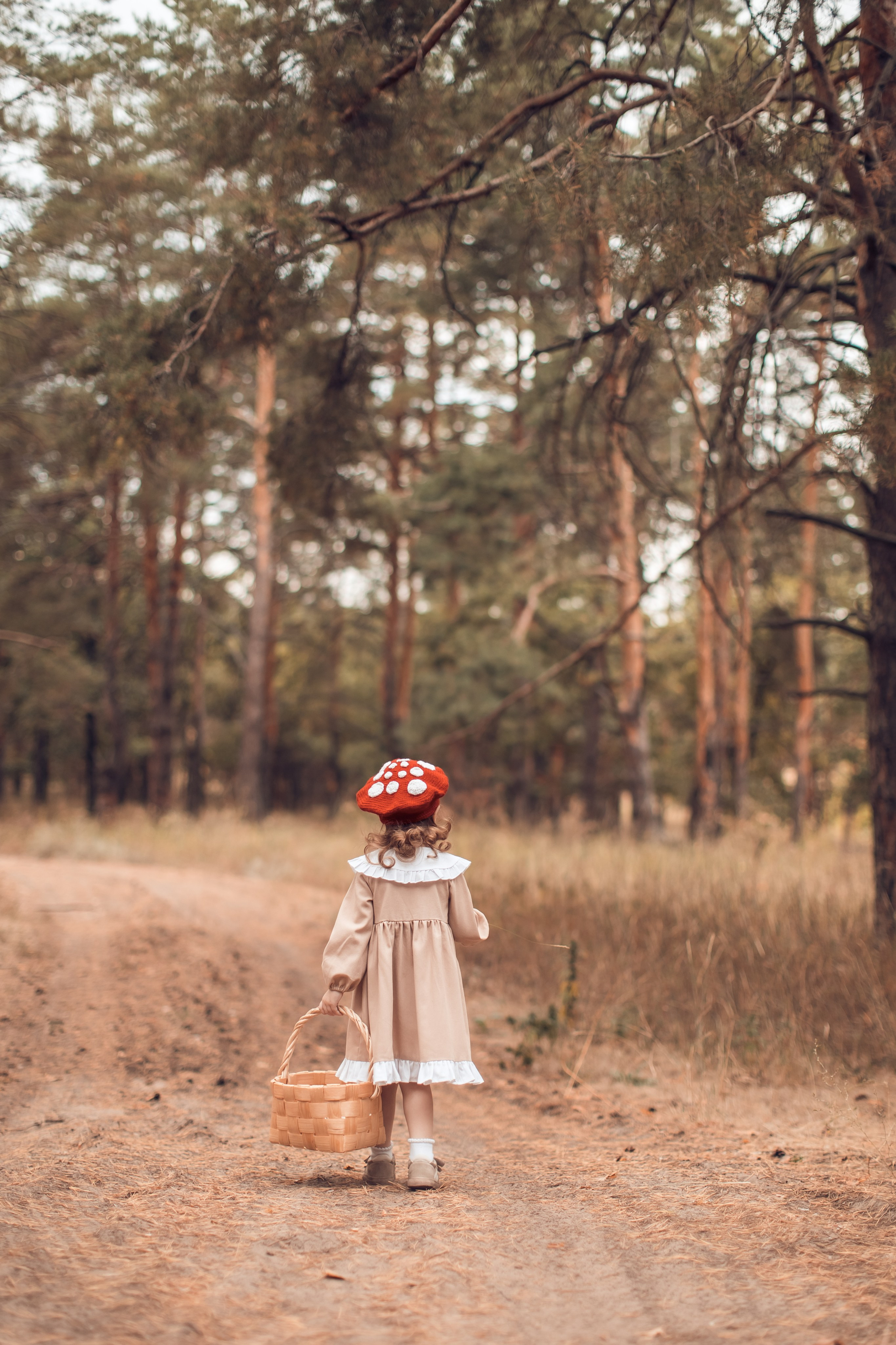 Прогулка в Широком. Главная