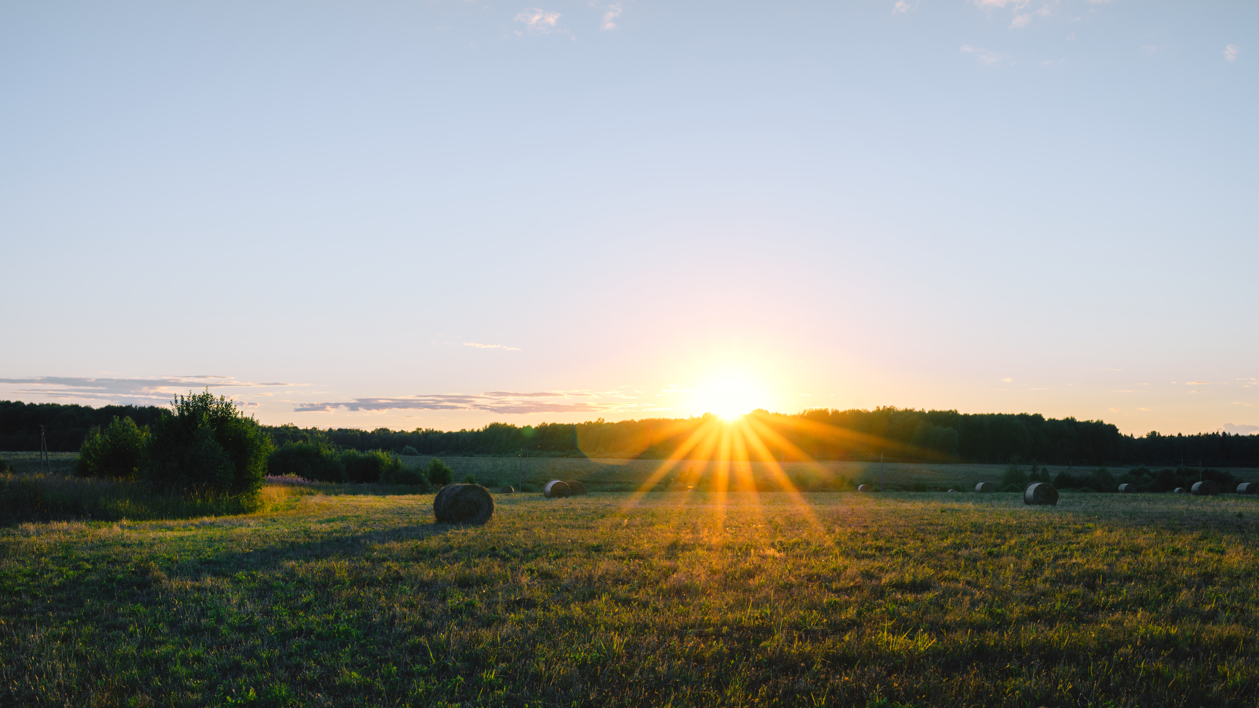 Небо видело всё. Komonev
