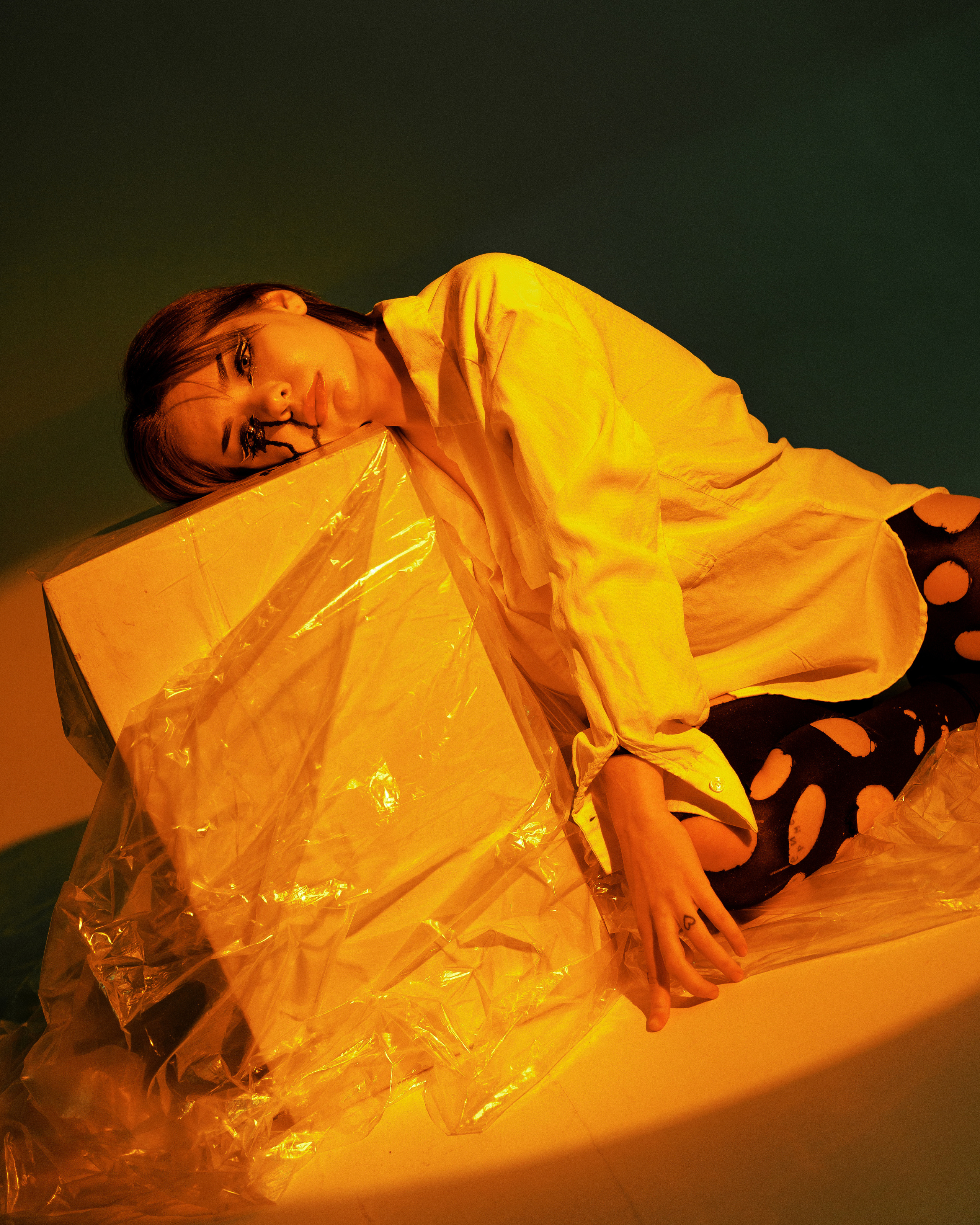 Лиса. Фотограф Рязань Москва Эльчин Хейрулла