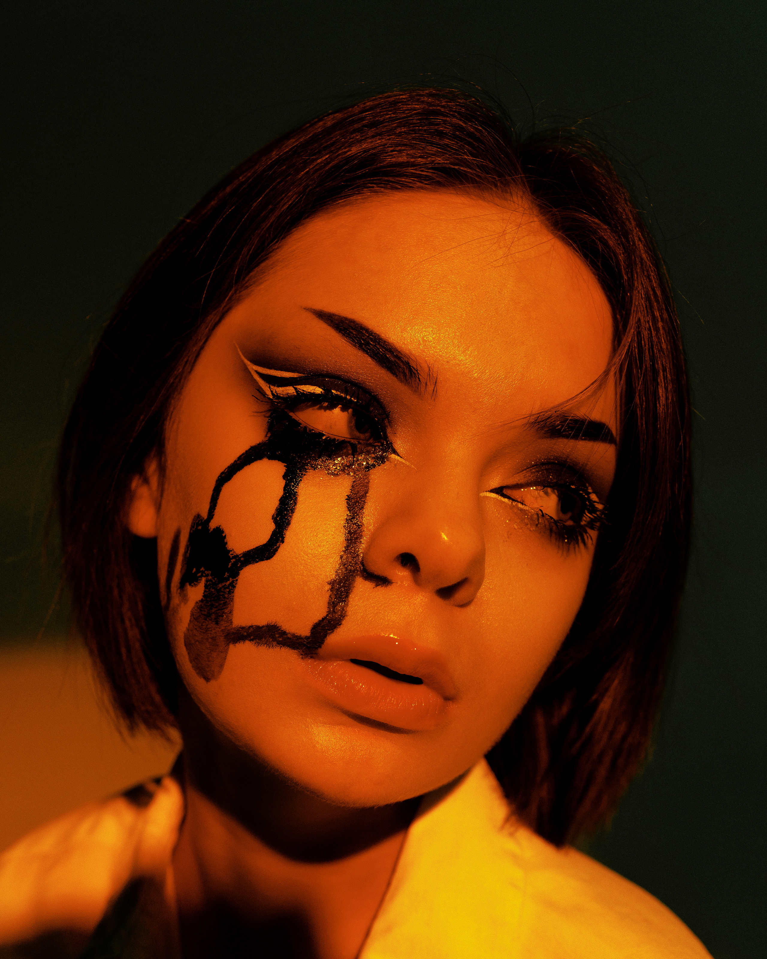 Лиса. Фотограф Рязань Москва Эльчин Хейрулла