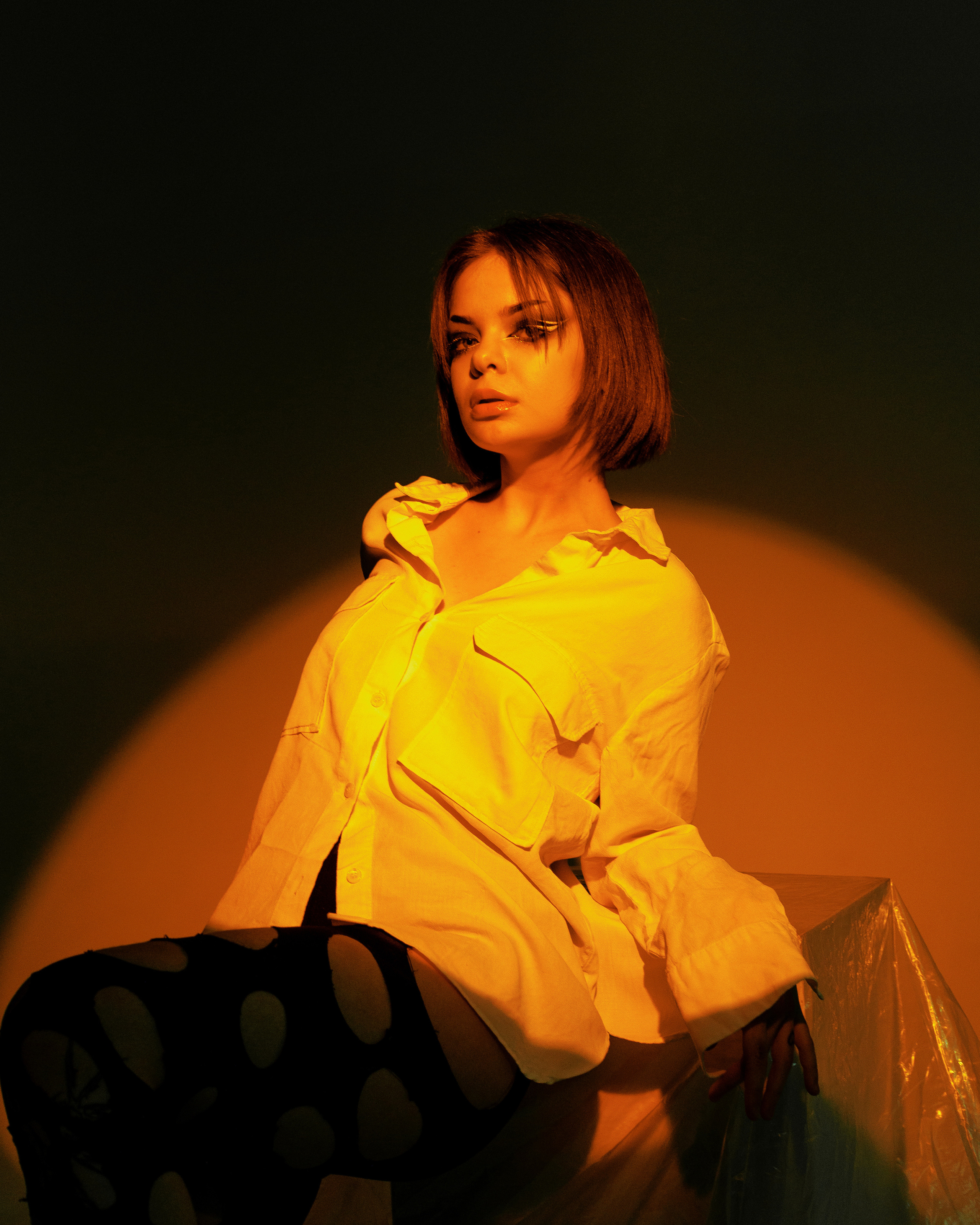 Лиса. Фотограф Рязань Москва Эльчин Хейрулла