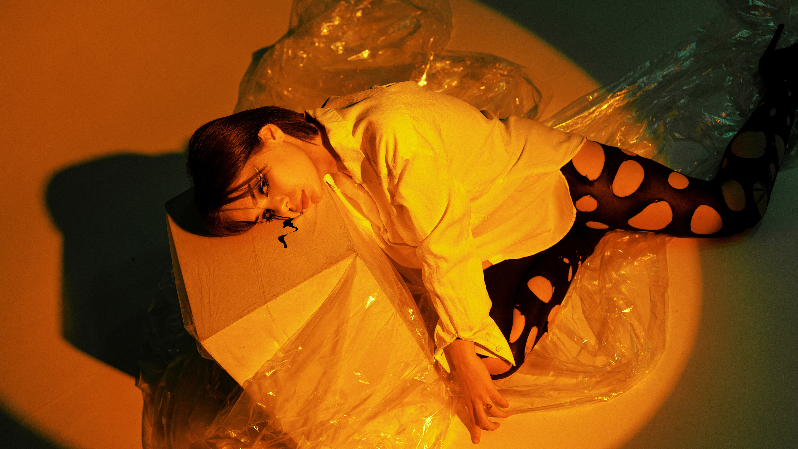 Лиса. Фотограф Рязань Москва Эльчин Хейрулла