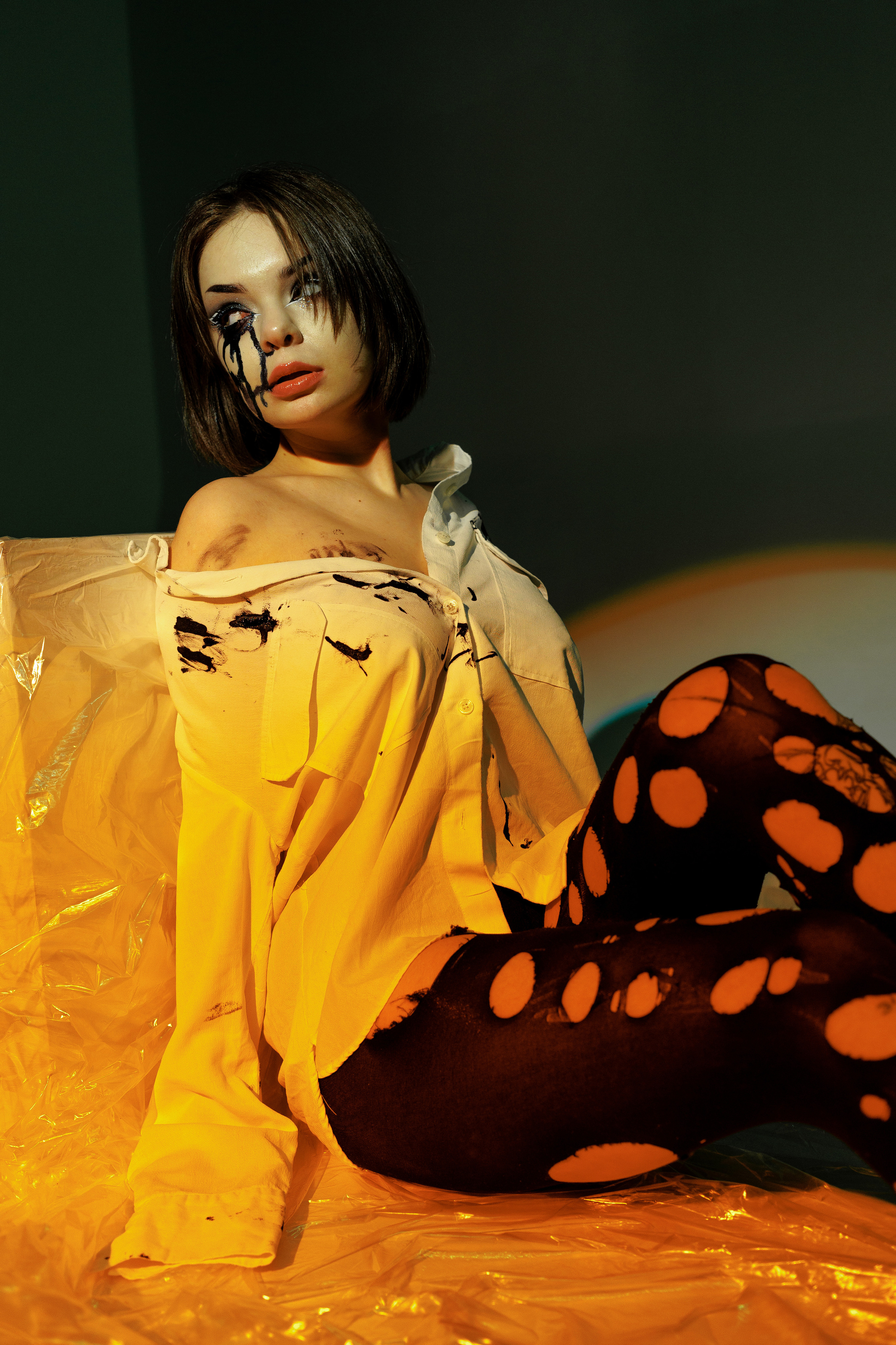 Лиса. Фотограф Рязань Москва Эльчин Хейрулла