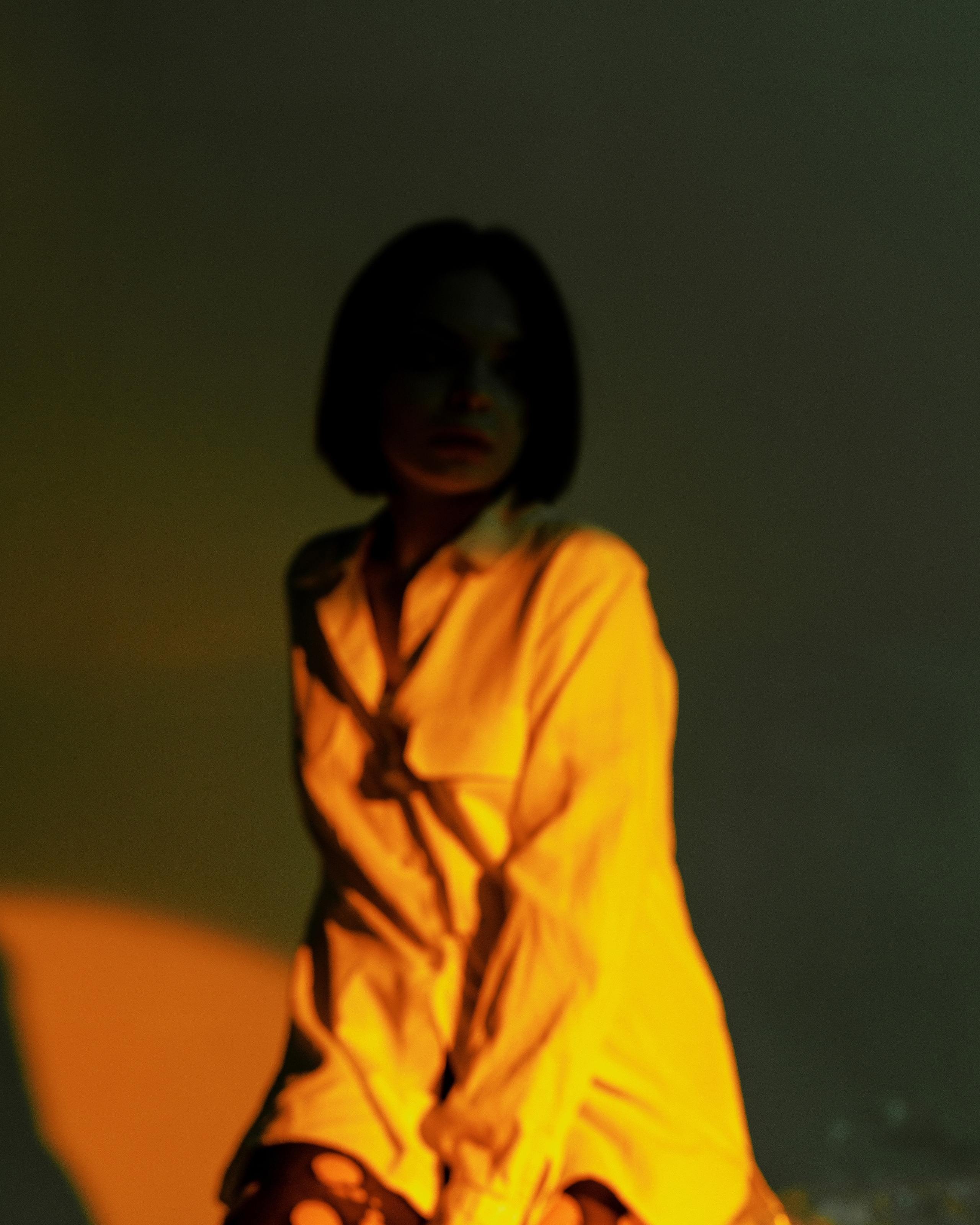 Лиса. Фотограф Рязань Москва Эльчин Хейрулла