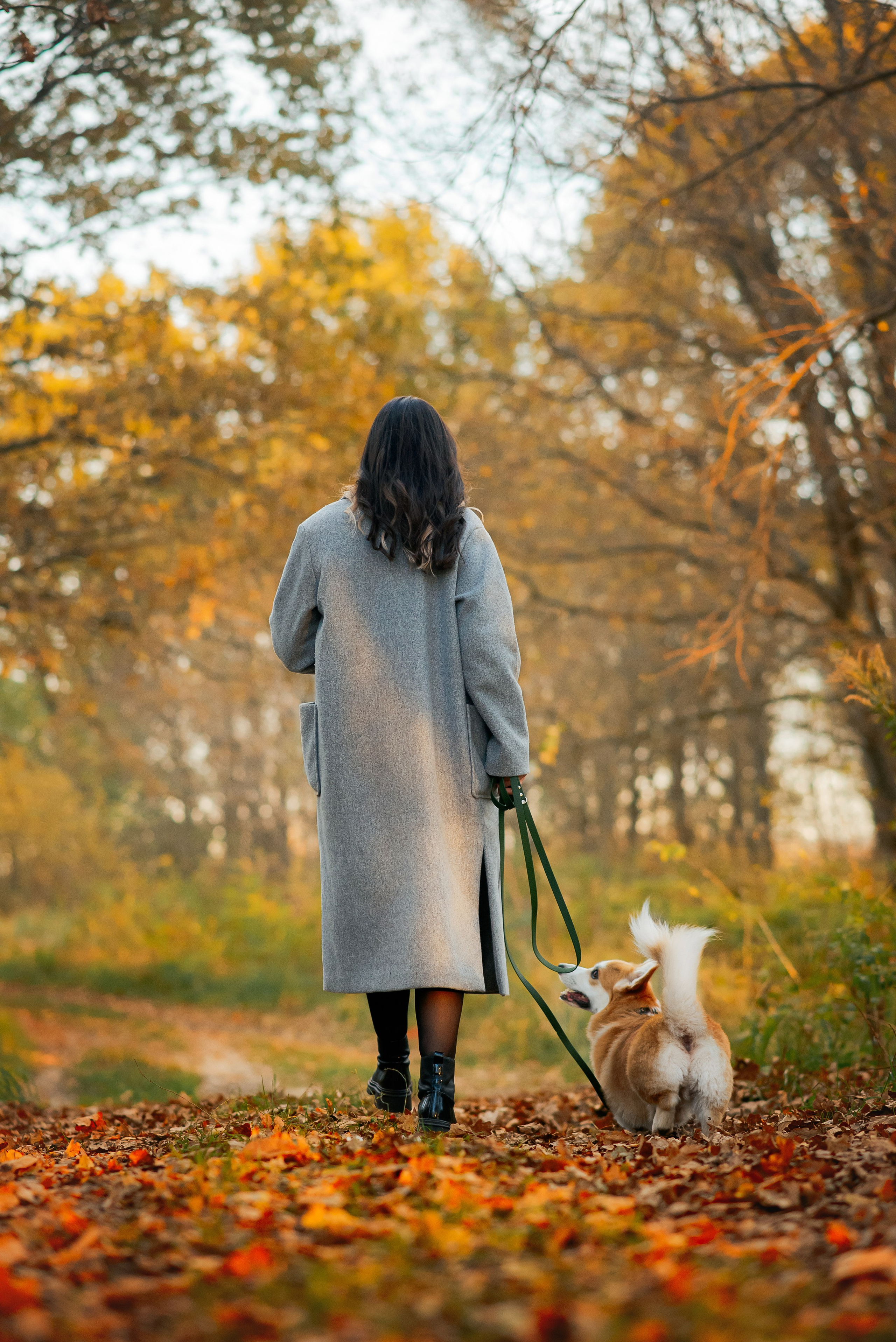 Максим, Надя, Рой и Шелби — 13.10.2024. Фотограф — Анималист | Анна Абрамова