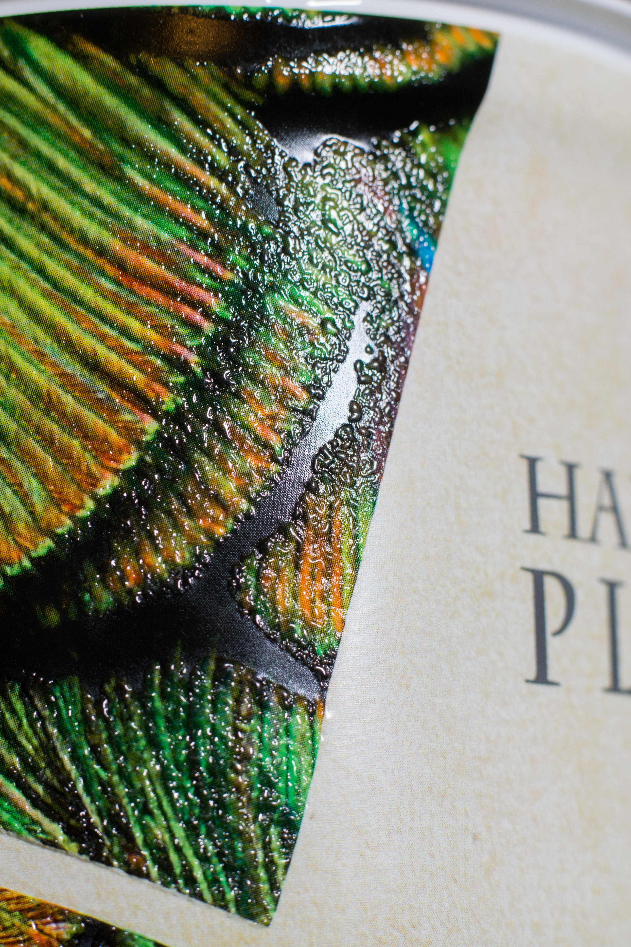 Литон производитель упаковки. Кирилл Бутлович фуд фотограф, Киров