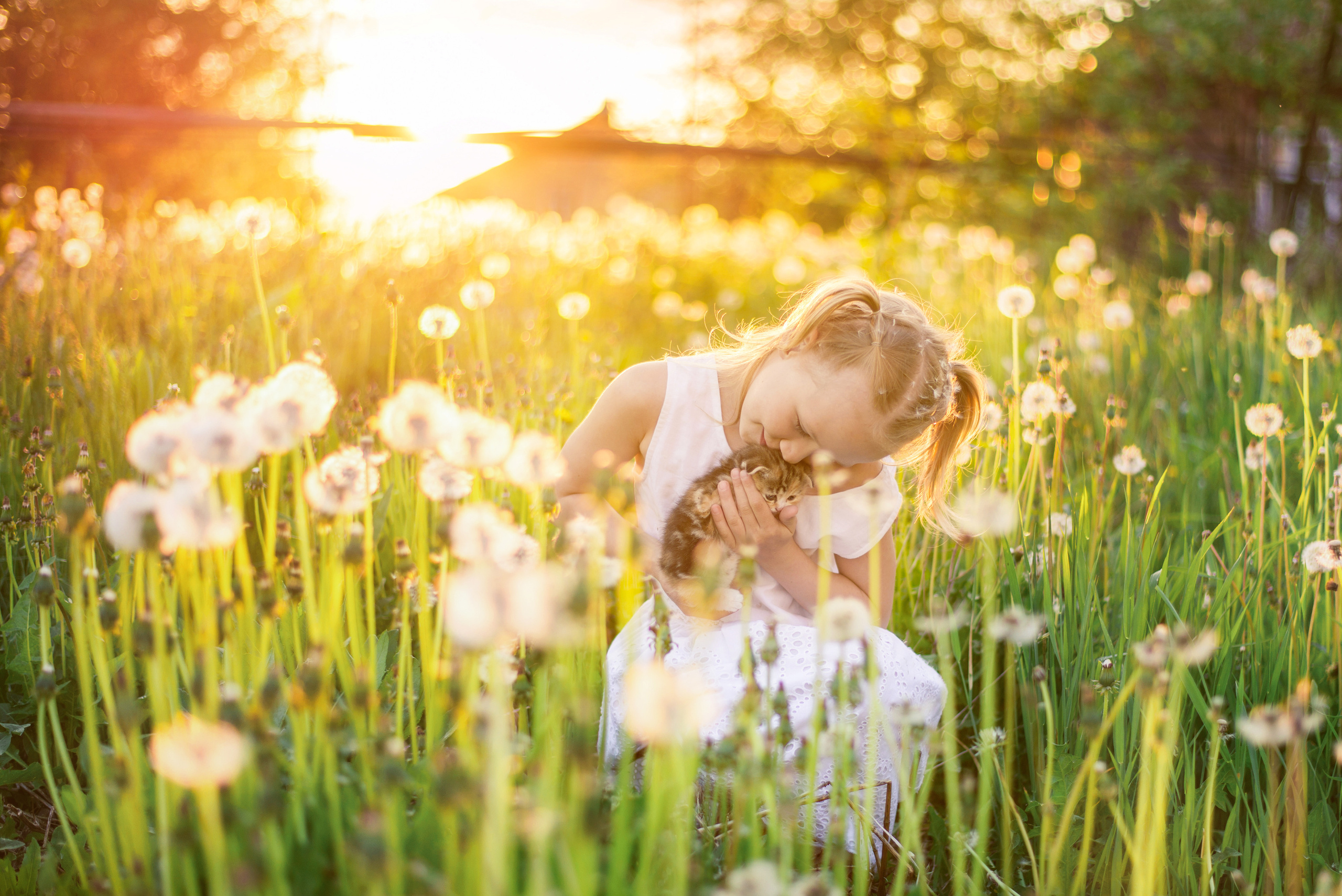 Варвара. Кирилл Бутлович фуд фотограф, Киров