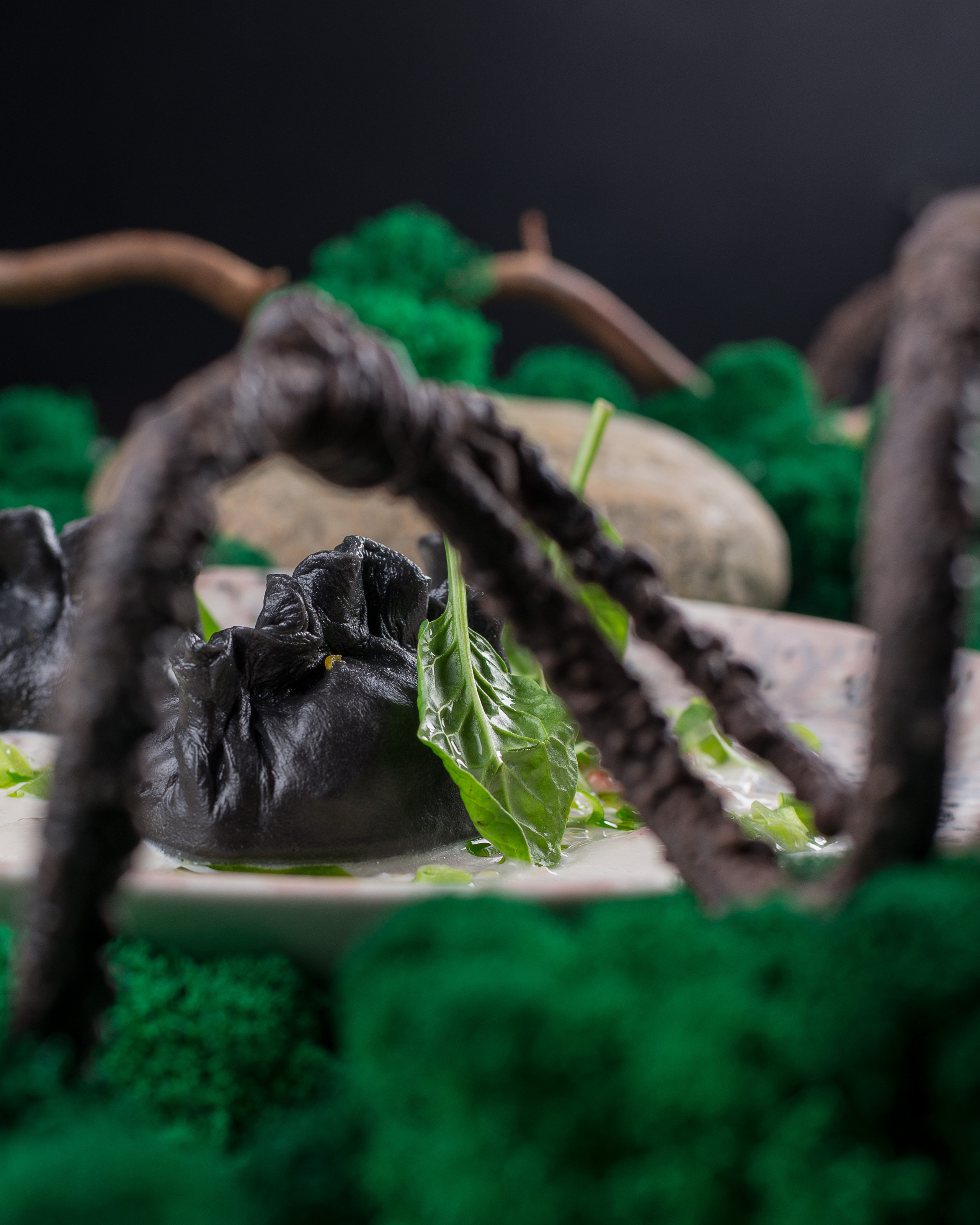 NOBEL гастробар. Кирилл Бутлович фуд фотограф, Киров