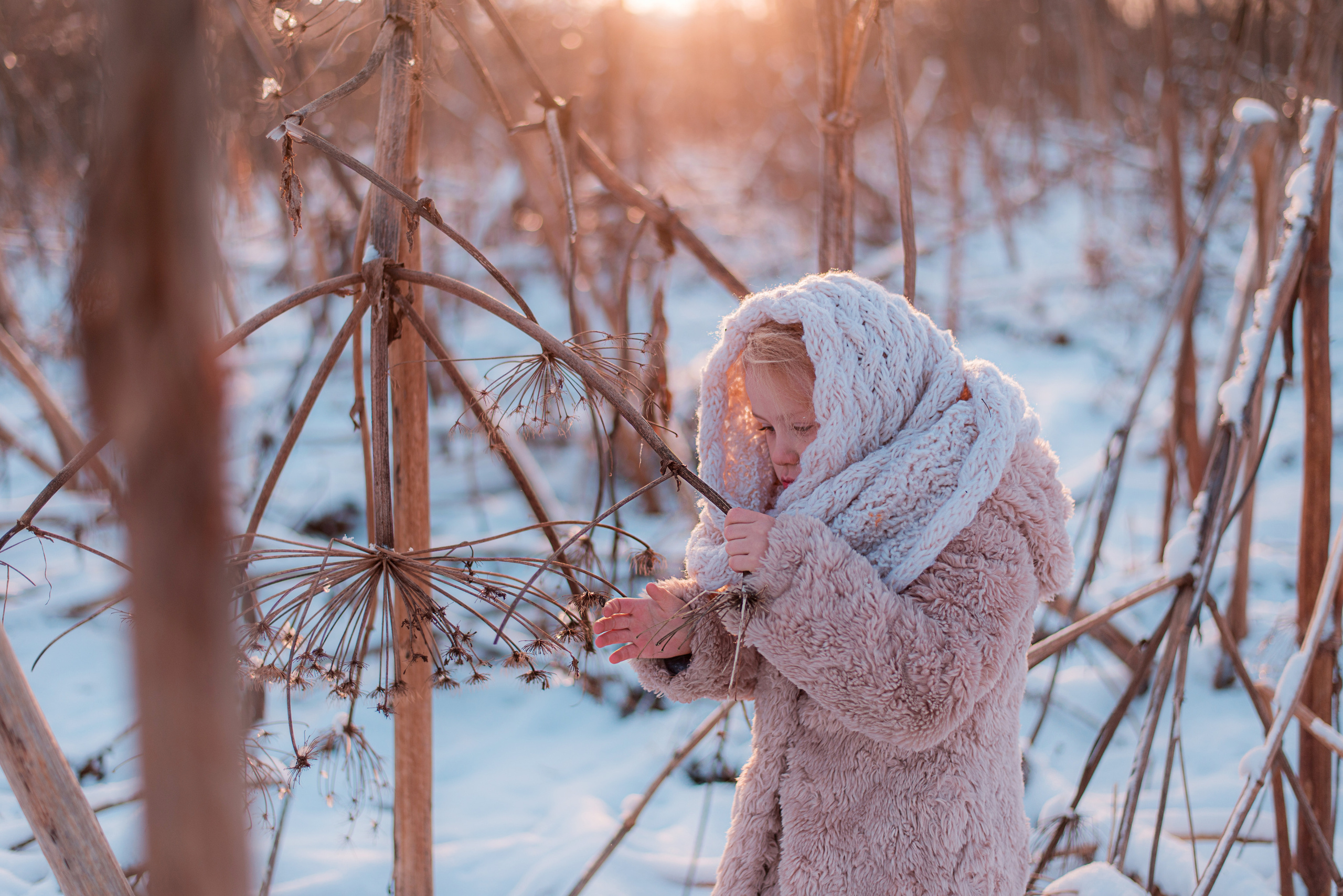 Варвара. Кирилл Бутлович фуд фотограф, Киров