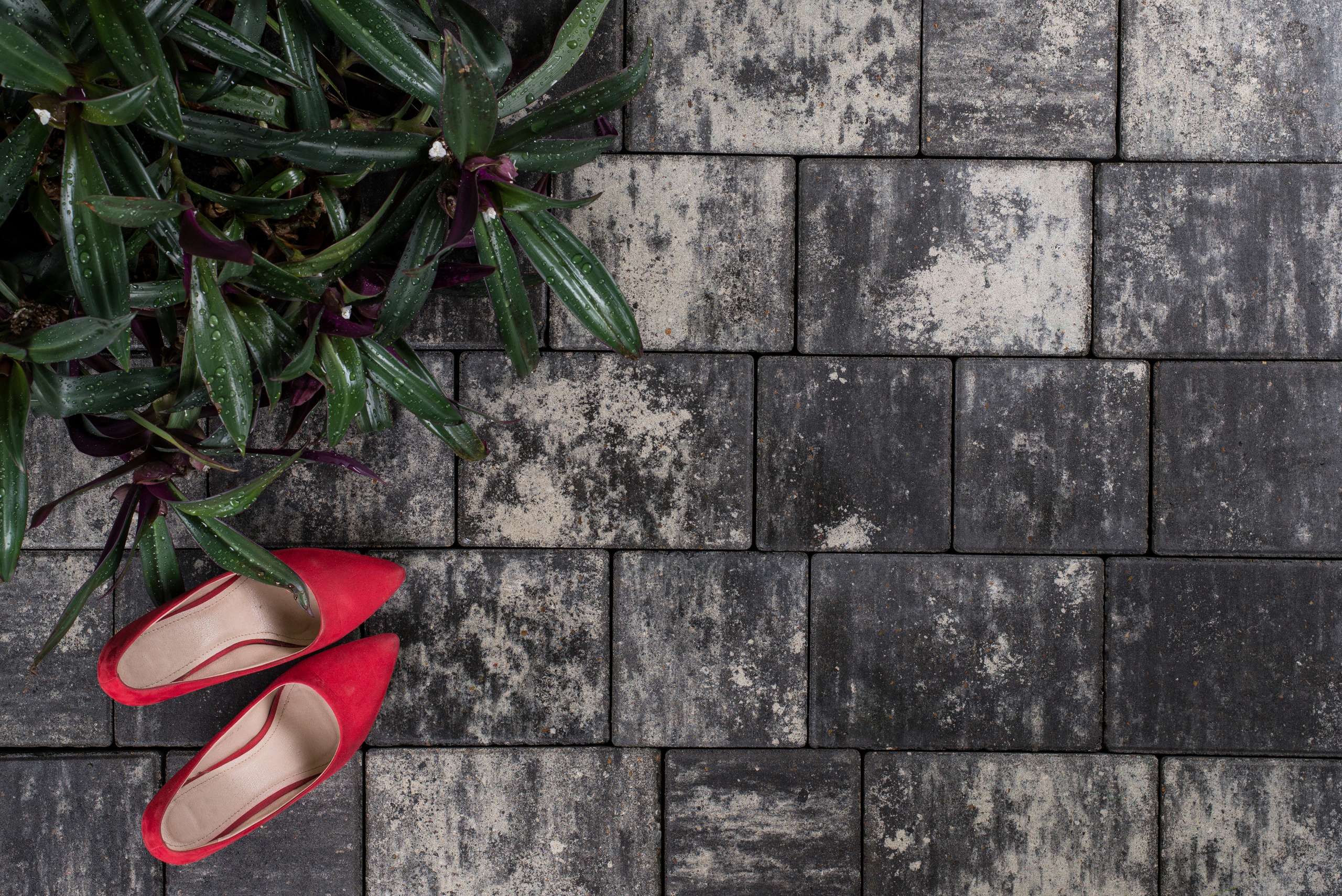 КСМ Кировспецмонтаж. Кирилл Бутлович фуд фотограф, Киров