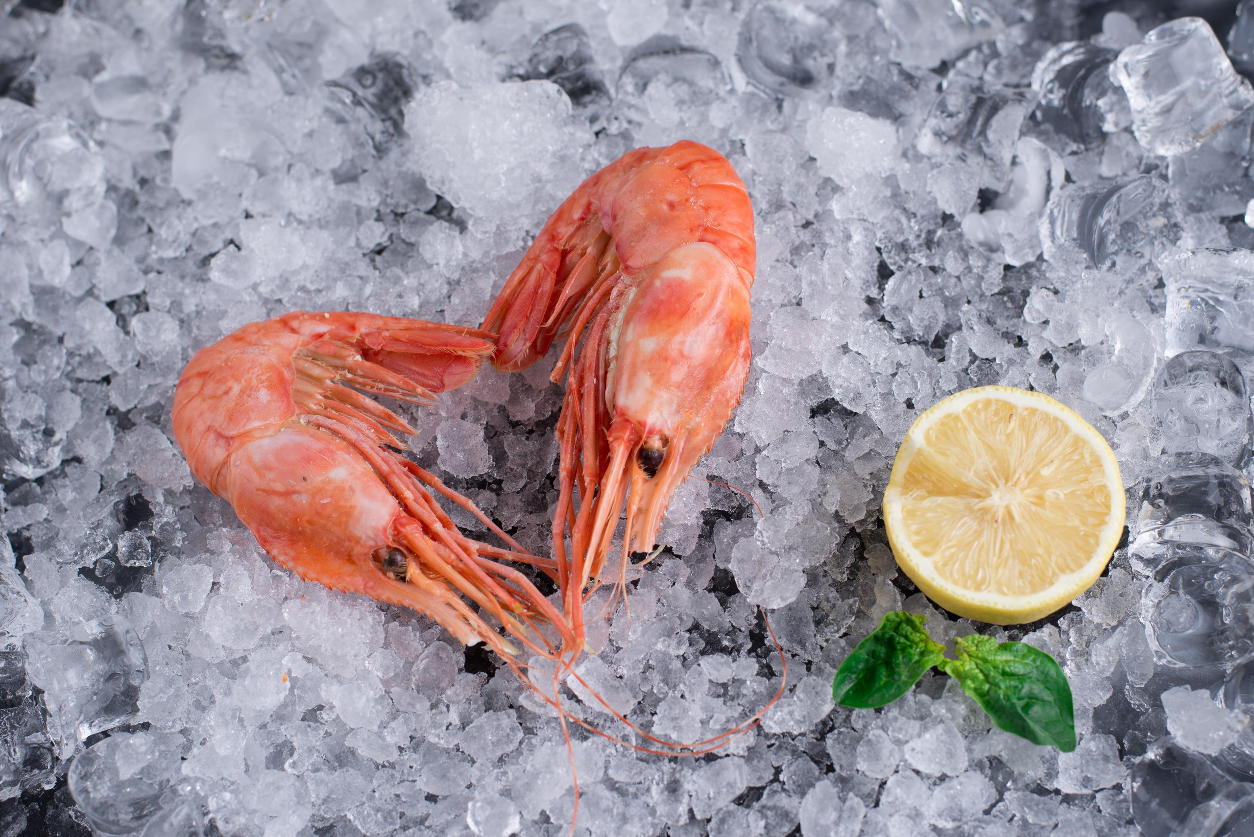 Дай краба. Кирилл Бутлович фуд фотограф, Киров