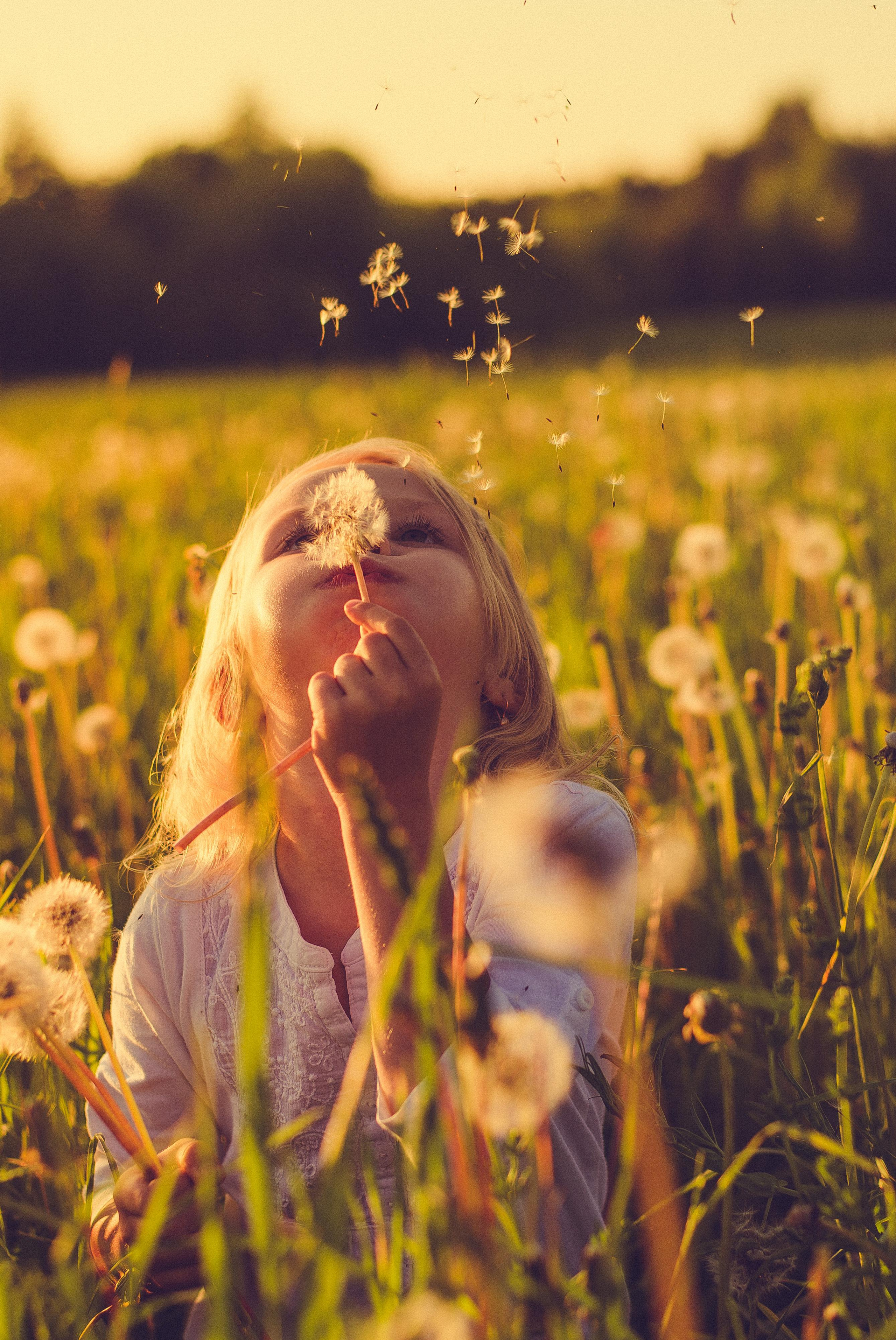 Варвара. Кирилл Бутлович фуд фотограф, Киров