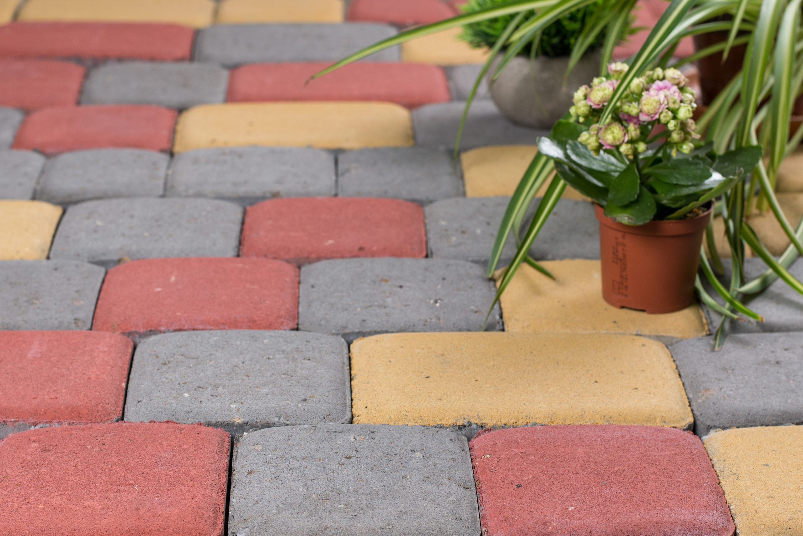 КСМ Кировспецмонтаж. Кирилл Бутлович фуд фотограф, Киров