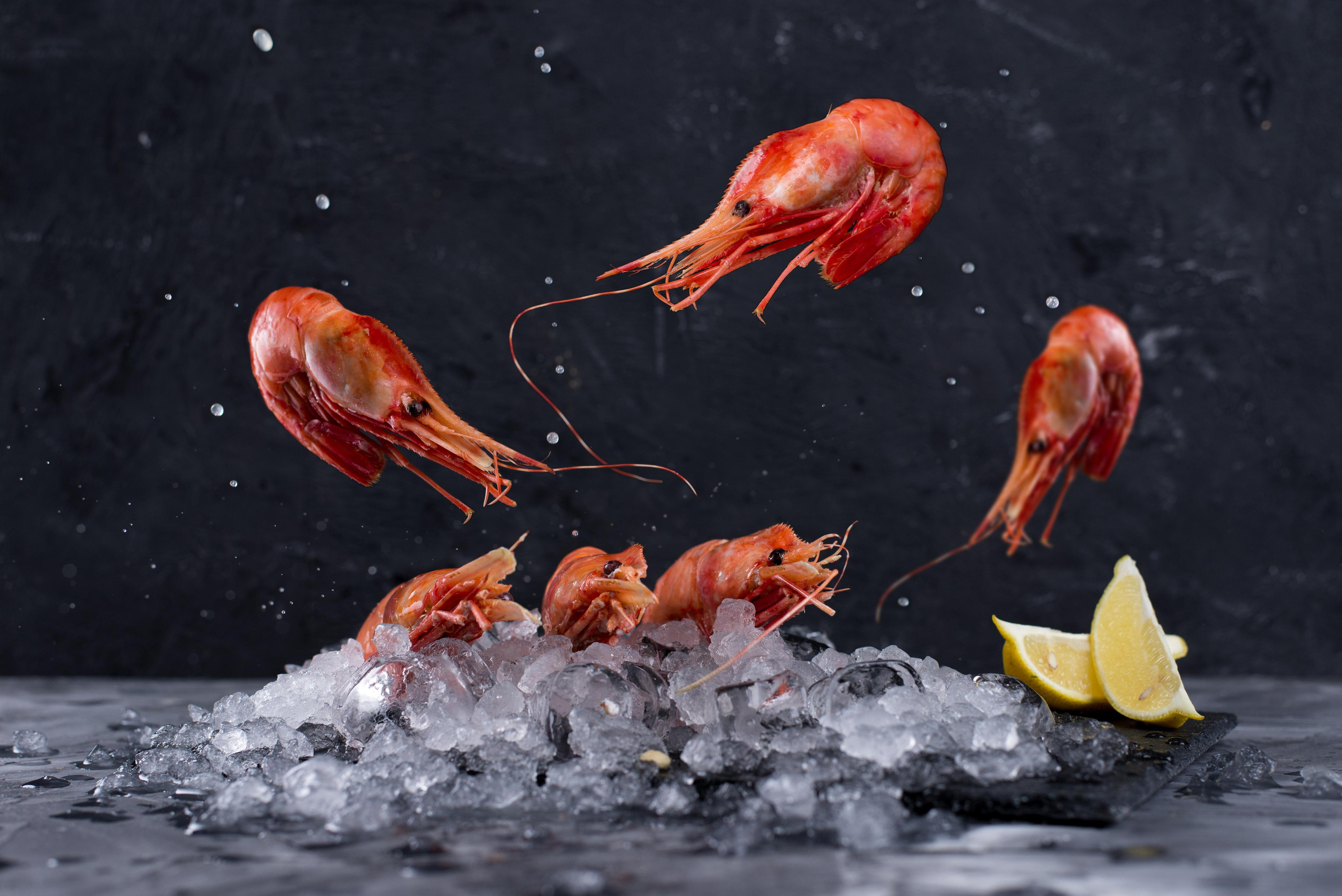 Дай краба. Кирилл Бутлович фуд фотограф, Киров