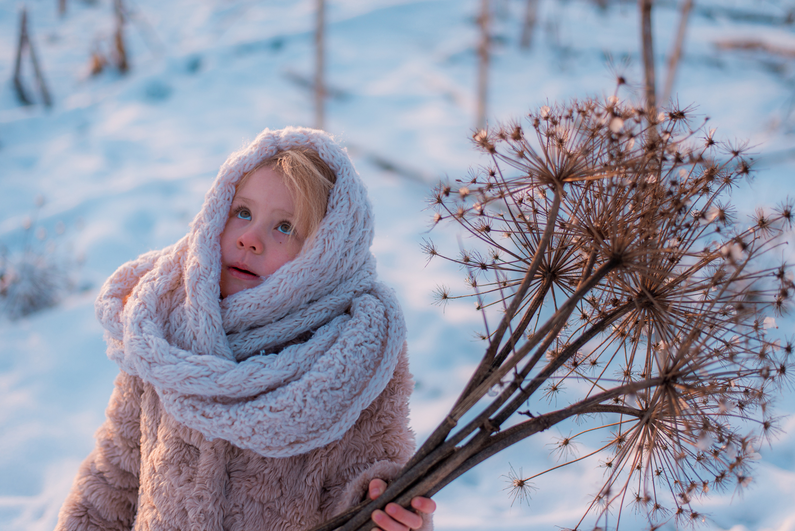 Варвара. Кирилл Бутлович фуд фотограф, Киров