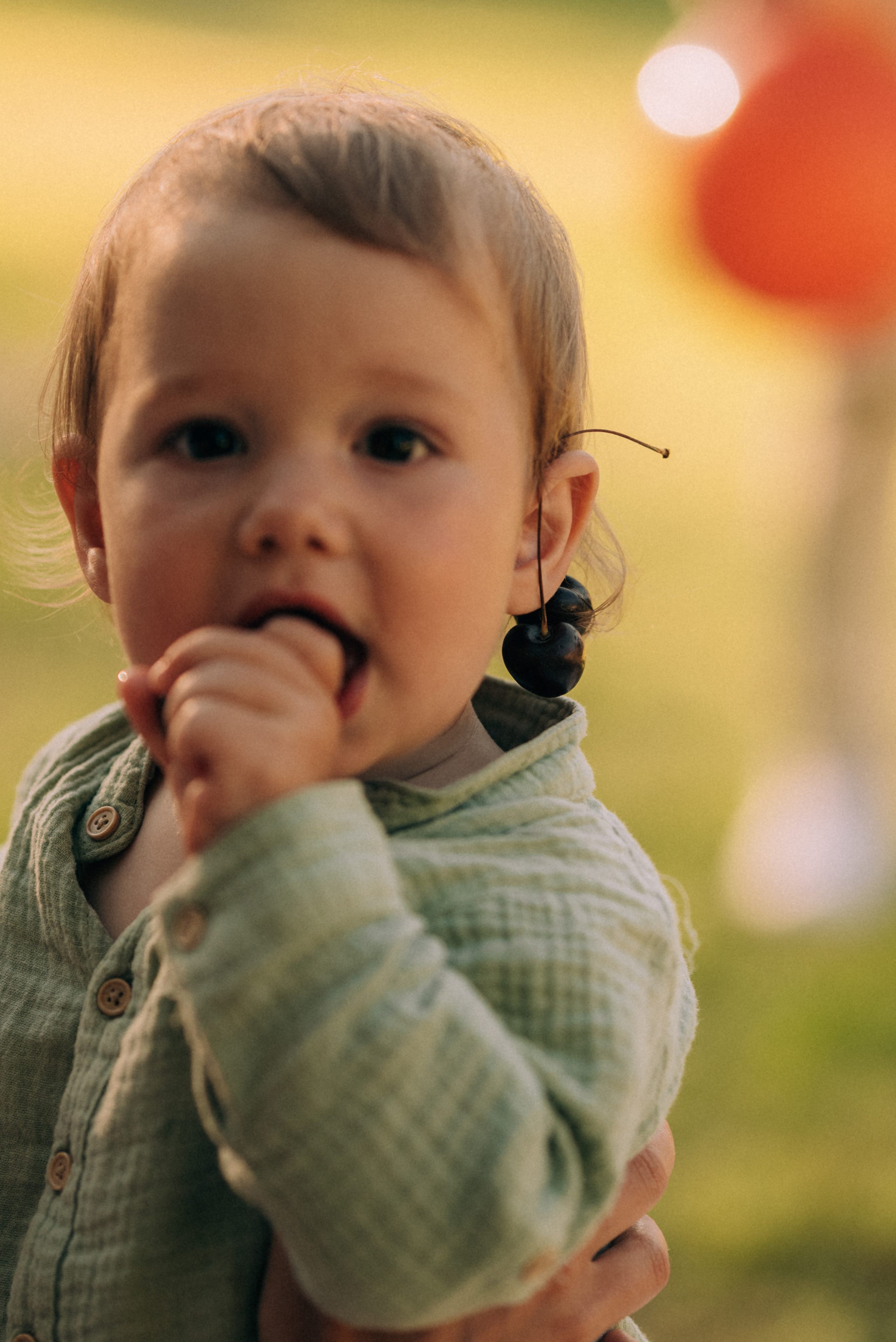 Sever. Ваш свадебный и семейный фотограф