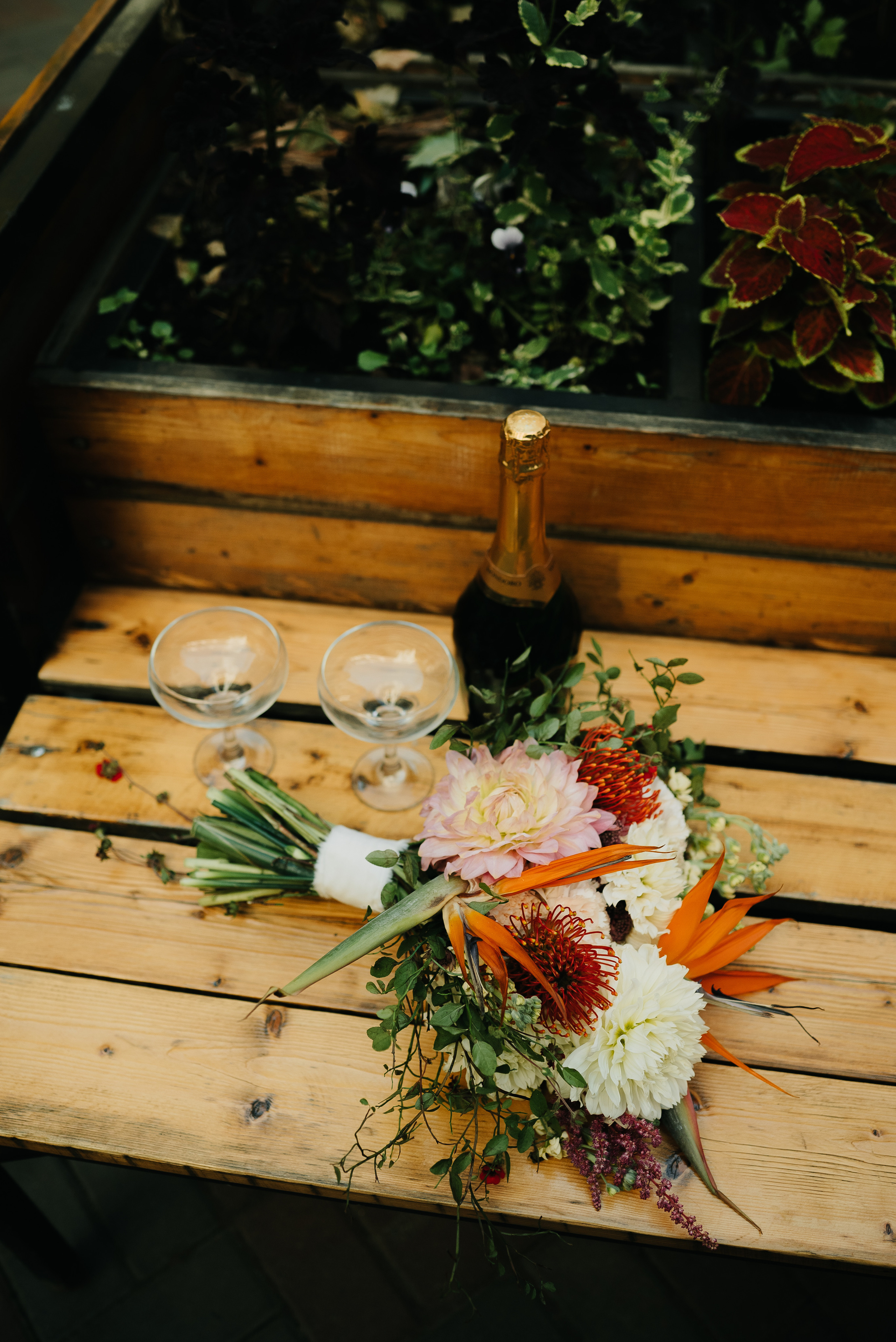Our feelings like Boeing — fasten your belts. Ваш свадебный и семейный фотограф