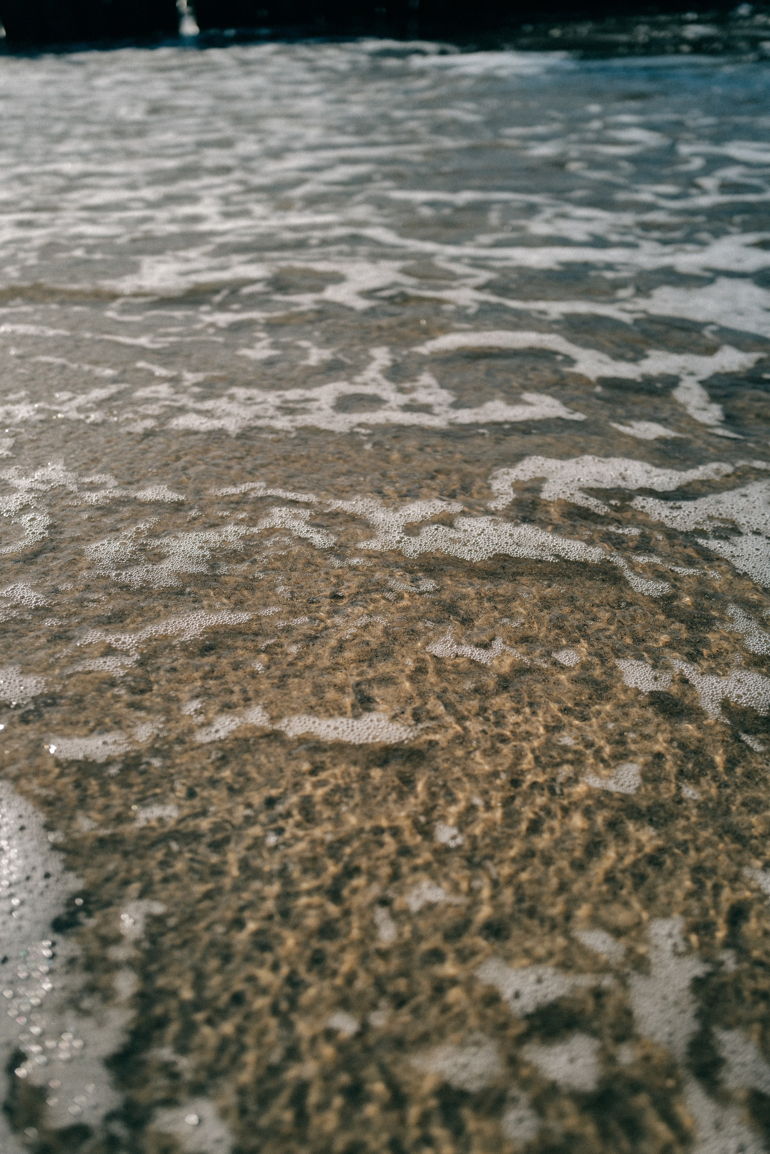 Zelenogradsk. Фотограф София Комкина