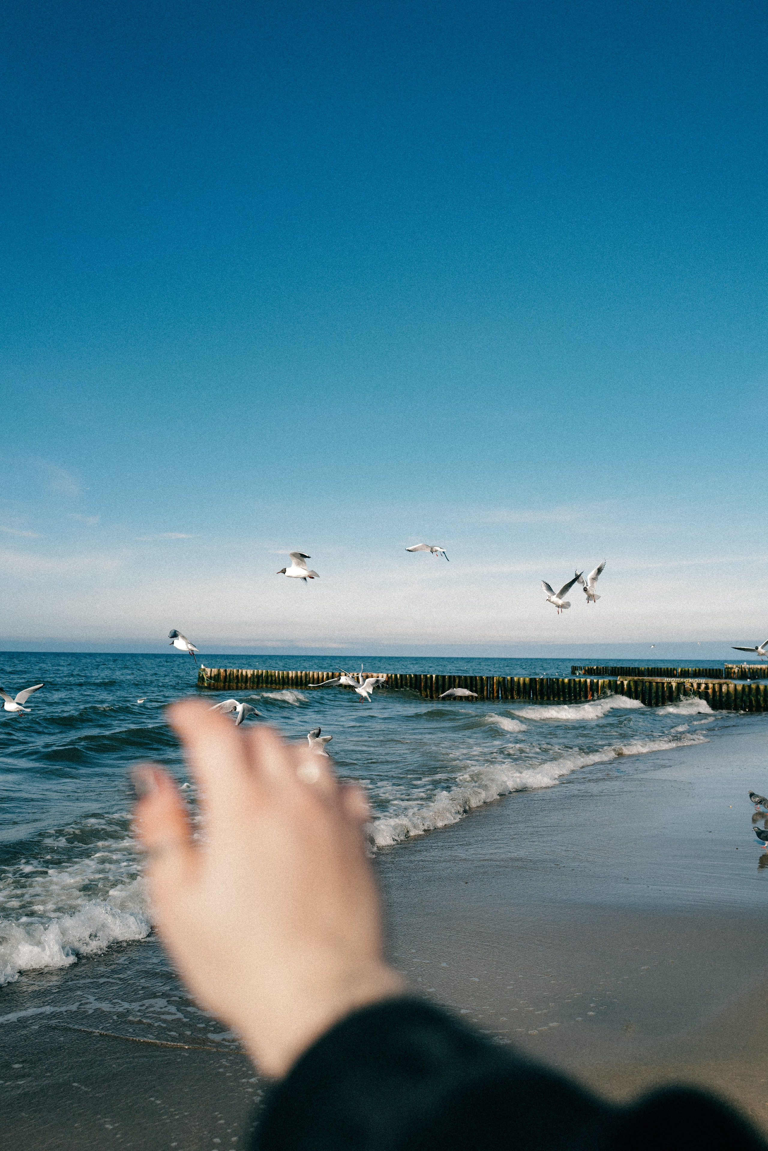 Zelenogradsk. Фотограф София Комкина