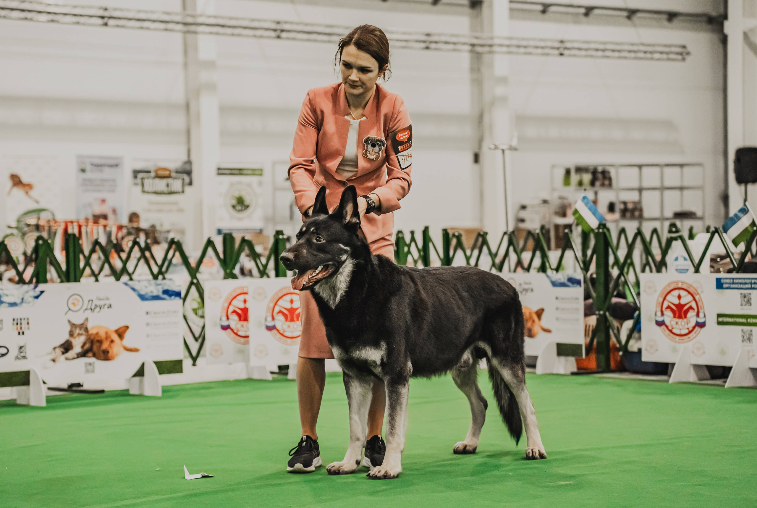 Международная выставка собак всех пород. Репортажный фотограф Анастасия Рубцова
