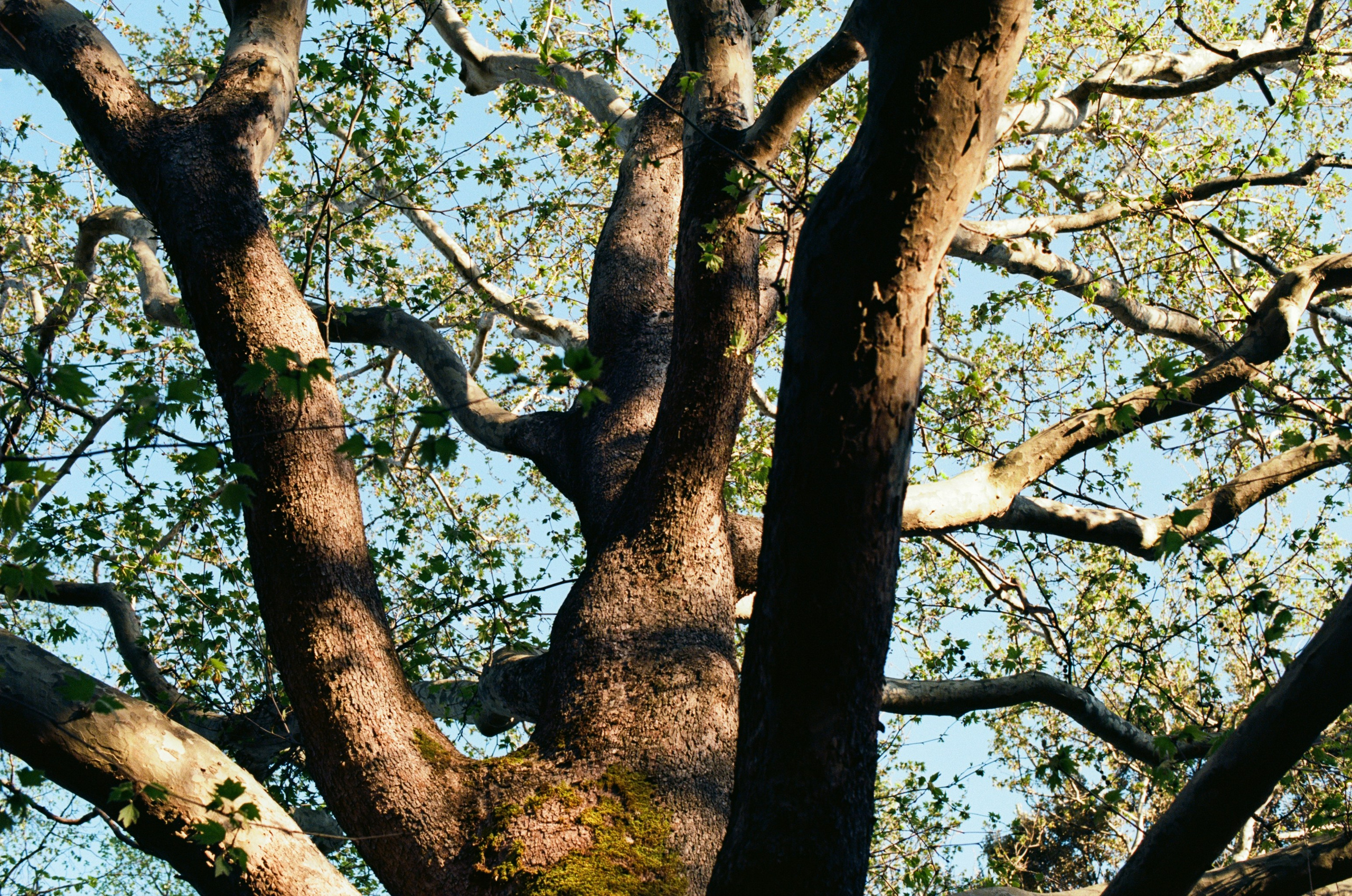 Follow you // ukraine, crimea IV. EVER EXPOSED