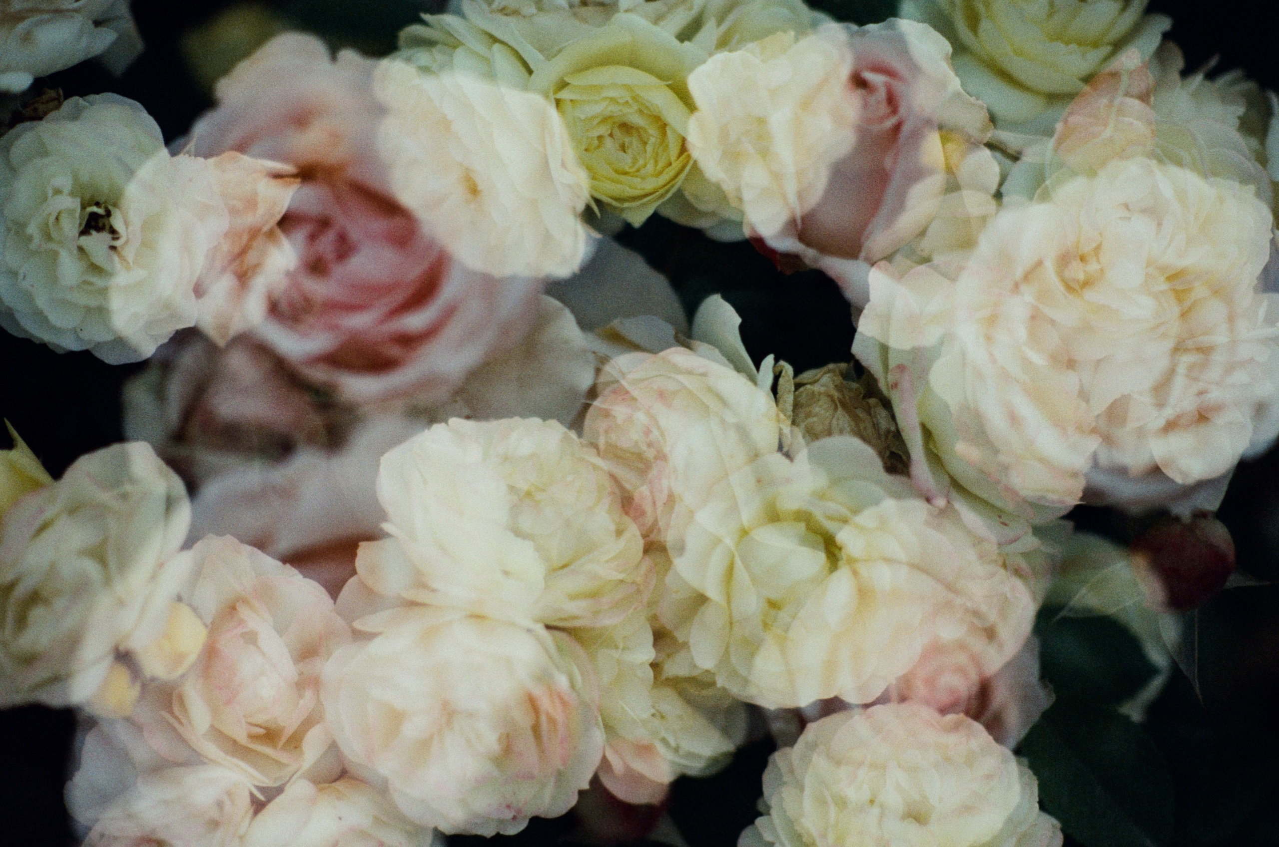 Pain shopping // ukraine, crimea V. EVER EXPOSED