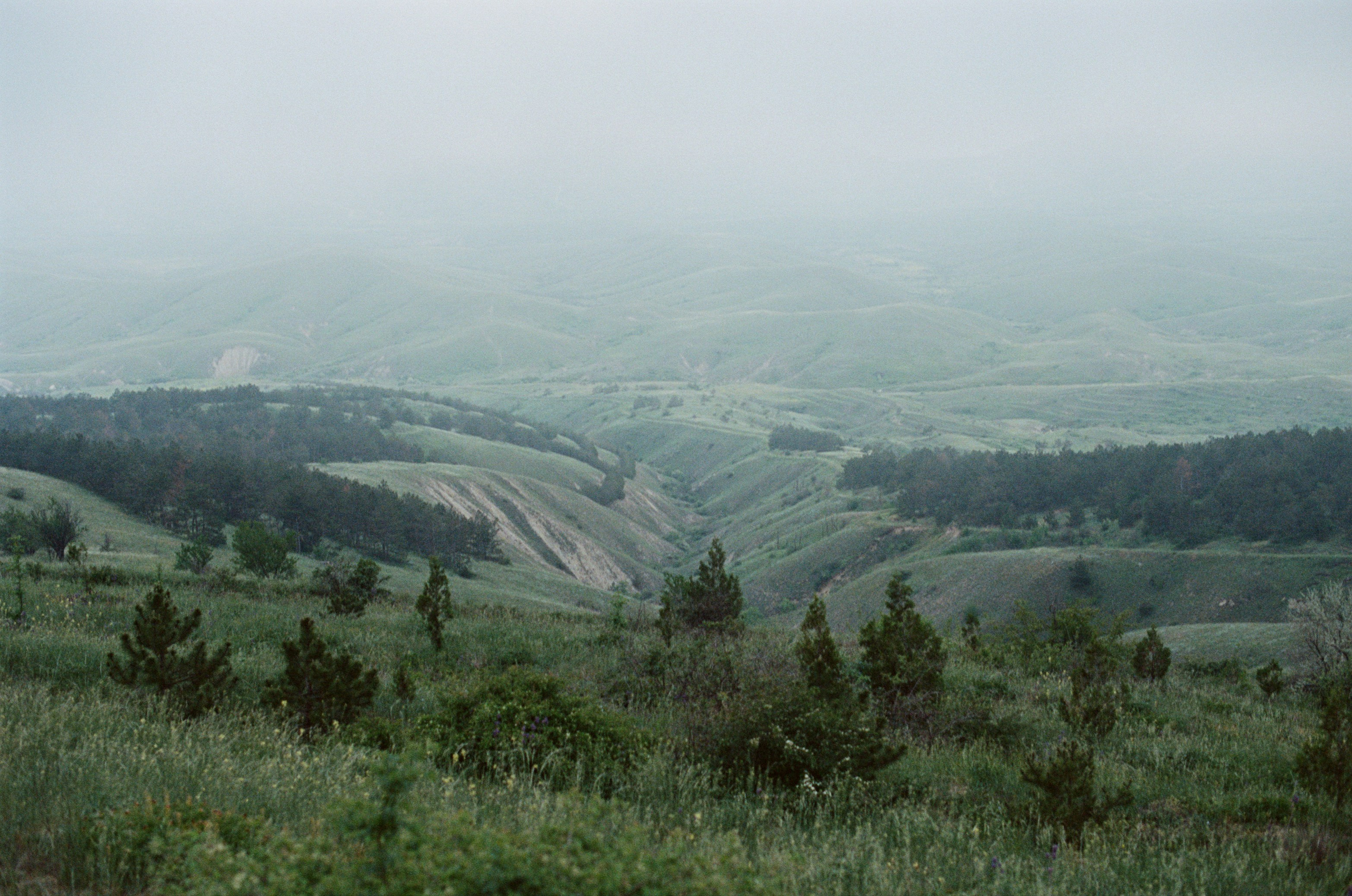 Champagne supernova // ukraine, crimea. EVER EXPOSED