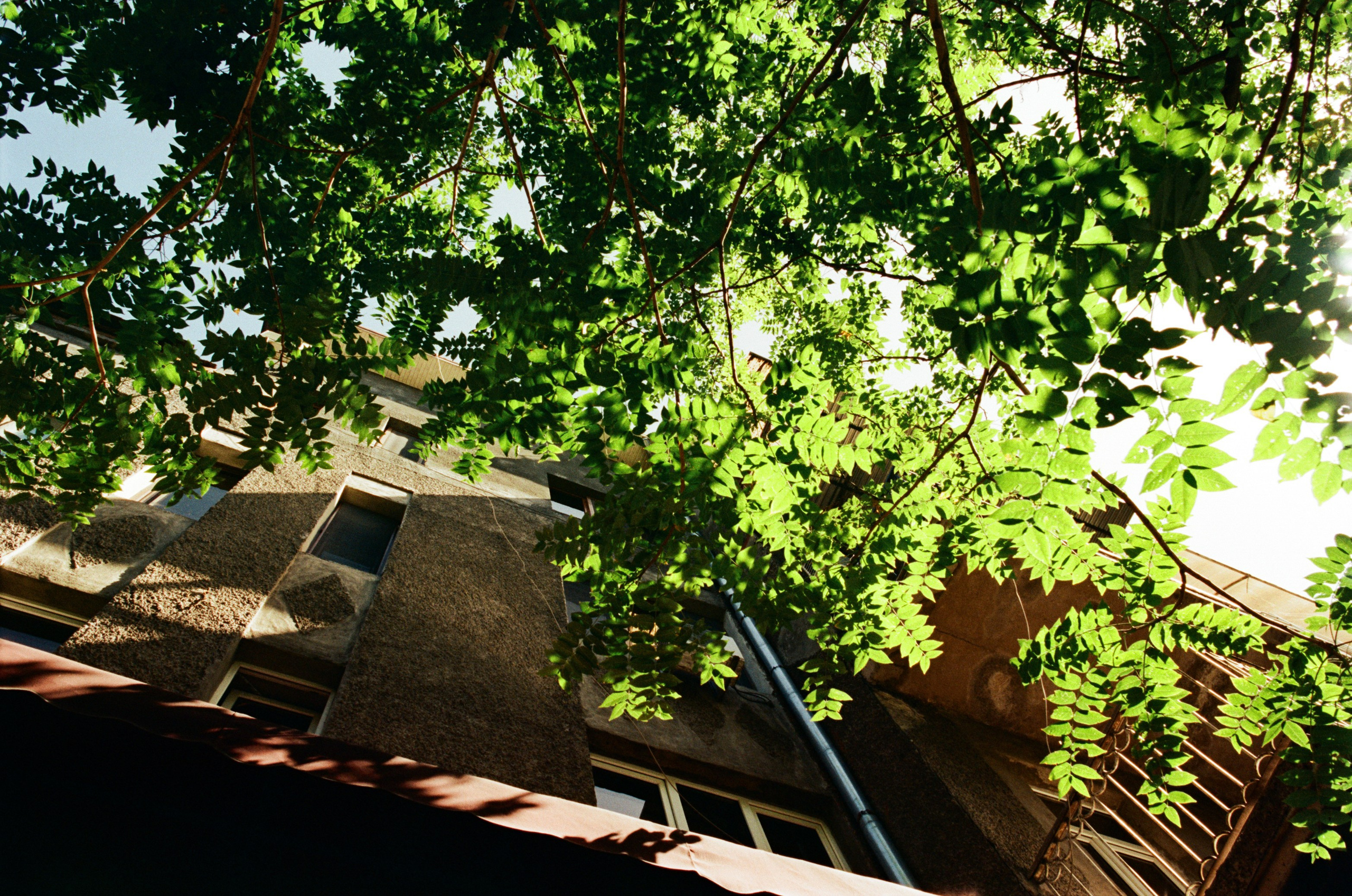 Darkest lullaby // armenia, yerevan III. EVER EXPOSED