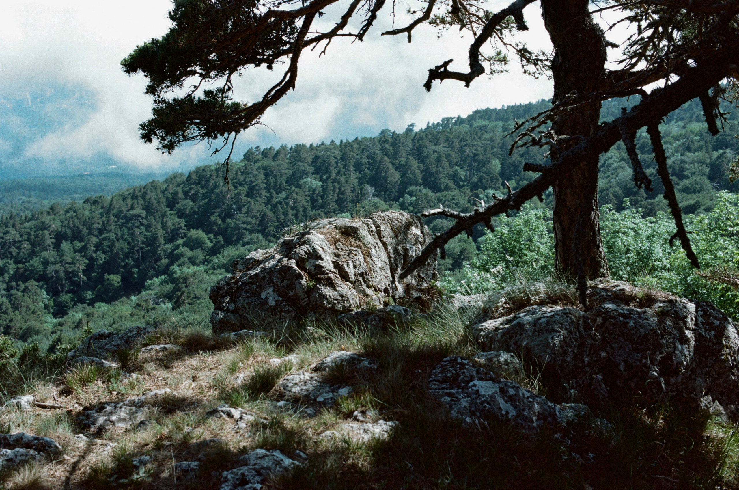 Kool-aid // ukraine, crimea II. EVER EXPOSED