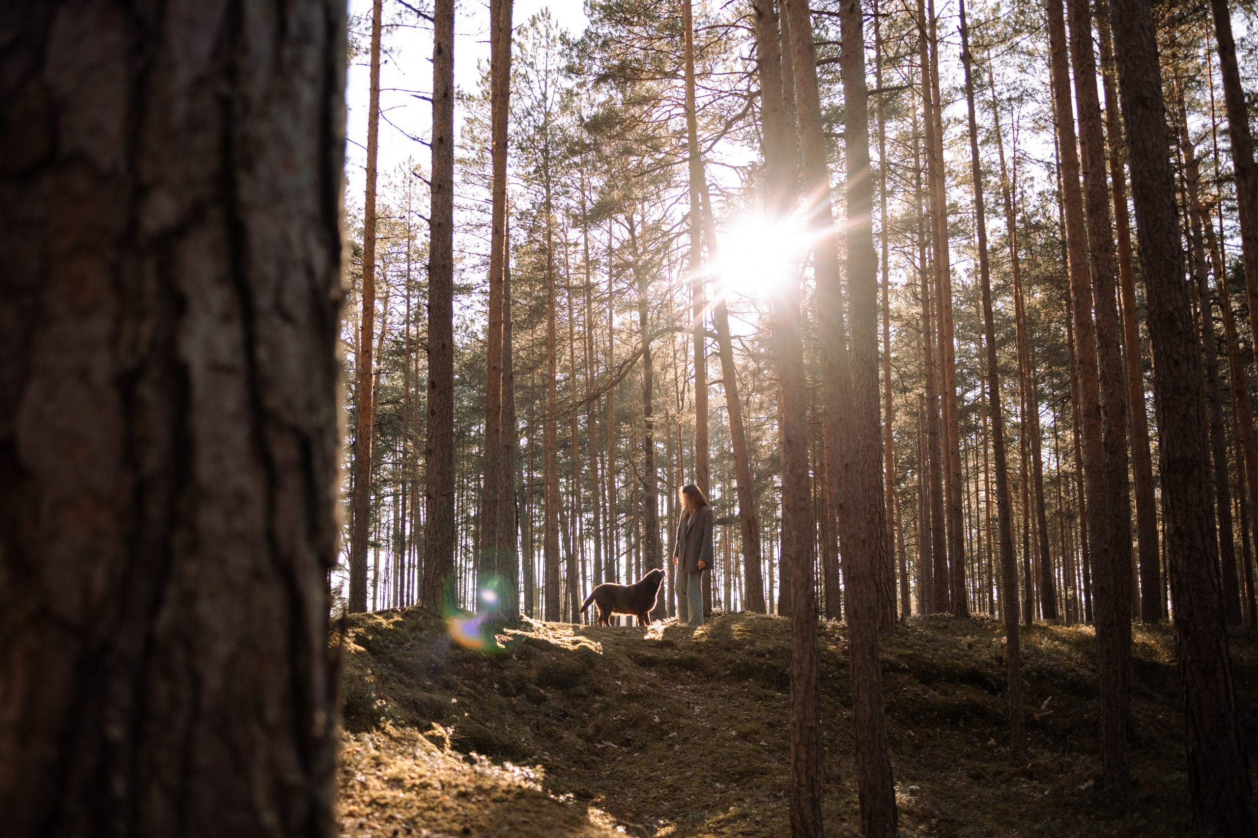 Оля и Питоня. Фотограф — Анималист | Санкт-Петербург