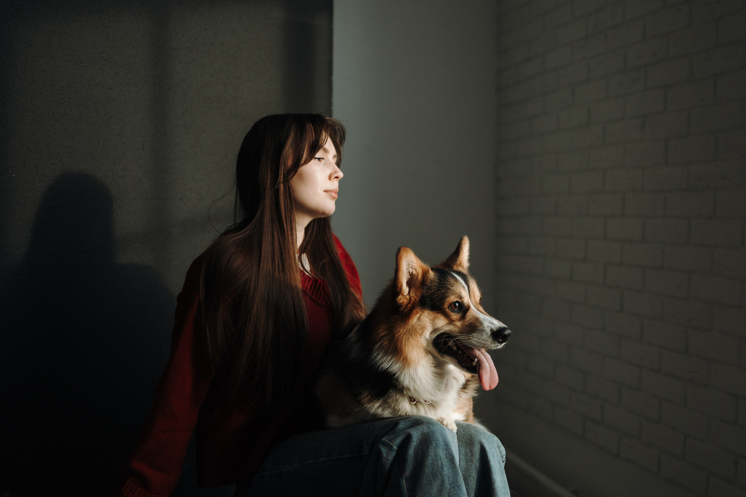 Настя и Коржик. Фотограф — Анималист | Санкт-Петербург