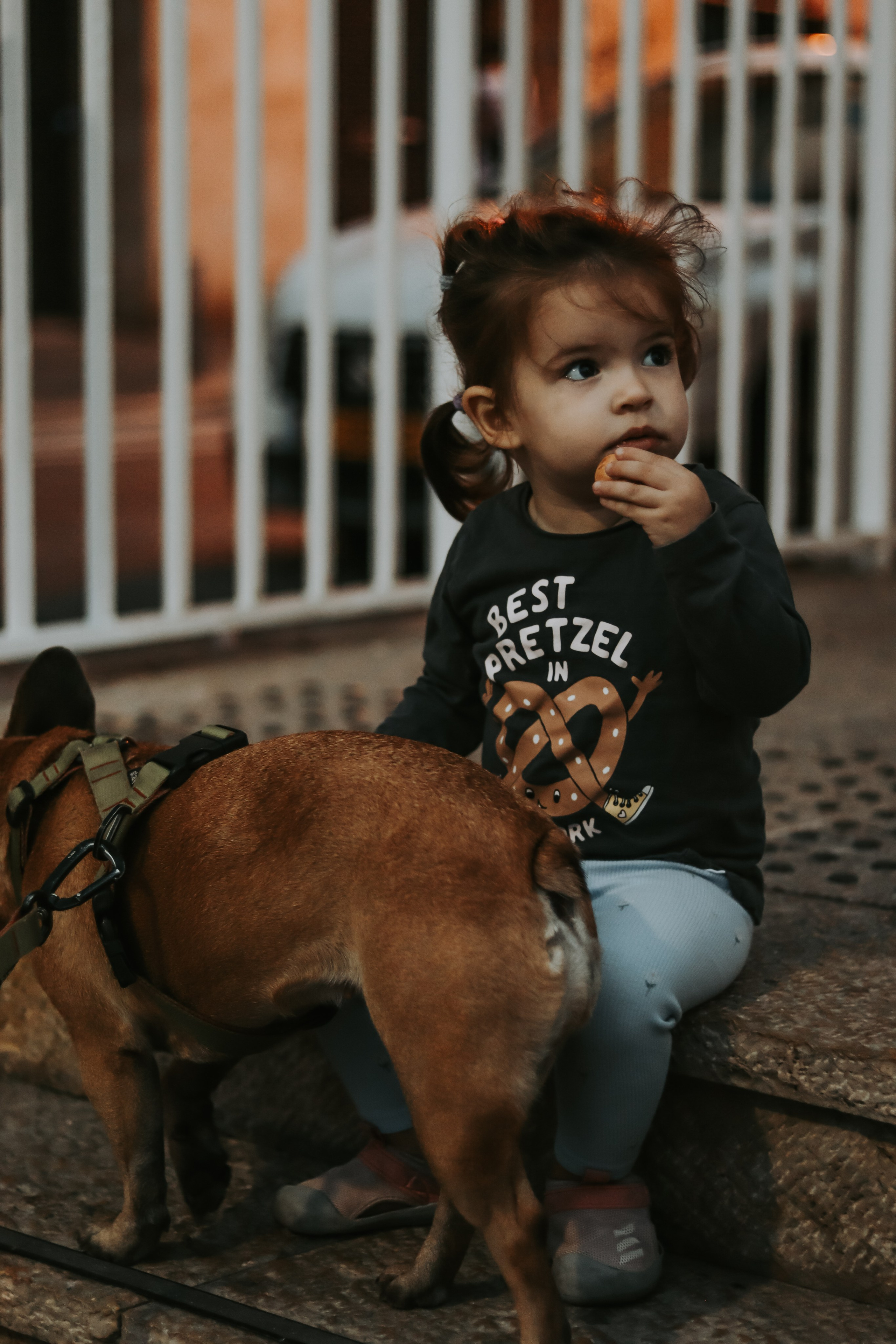 Charity walk in Jaffa, Tel Aviv 2023. Photographer in Israel Alice Milchin
