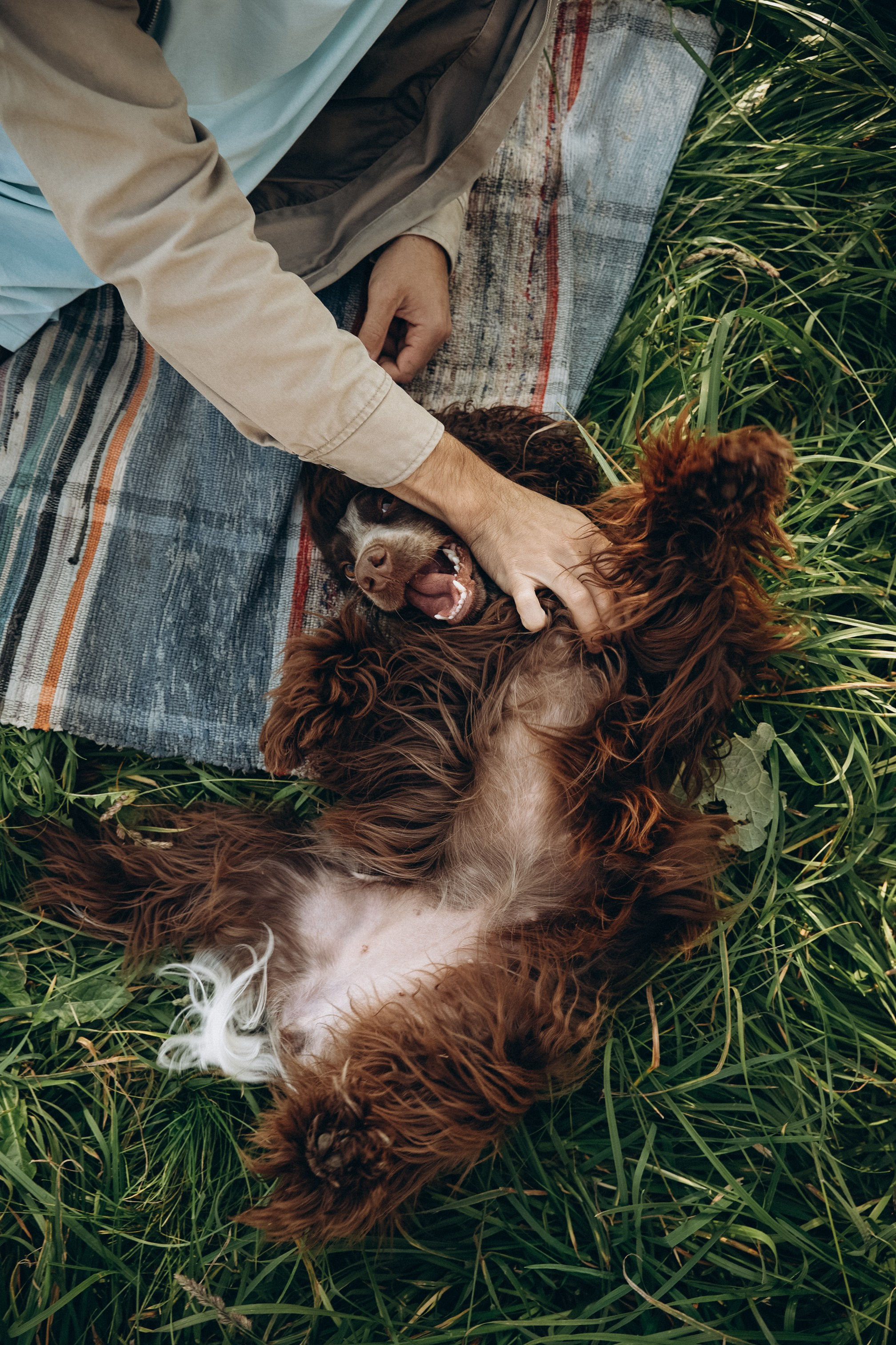 Семейная история. Семейный свадебный фотограф Екатеринбург Первоуральск Шарнина Алёна