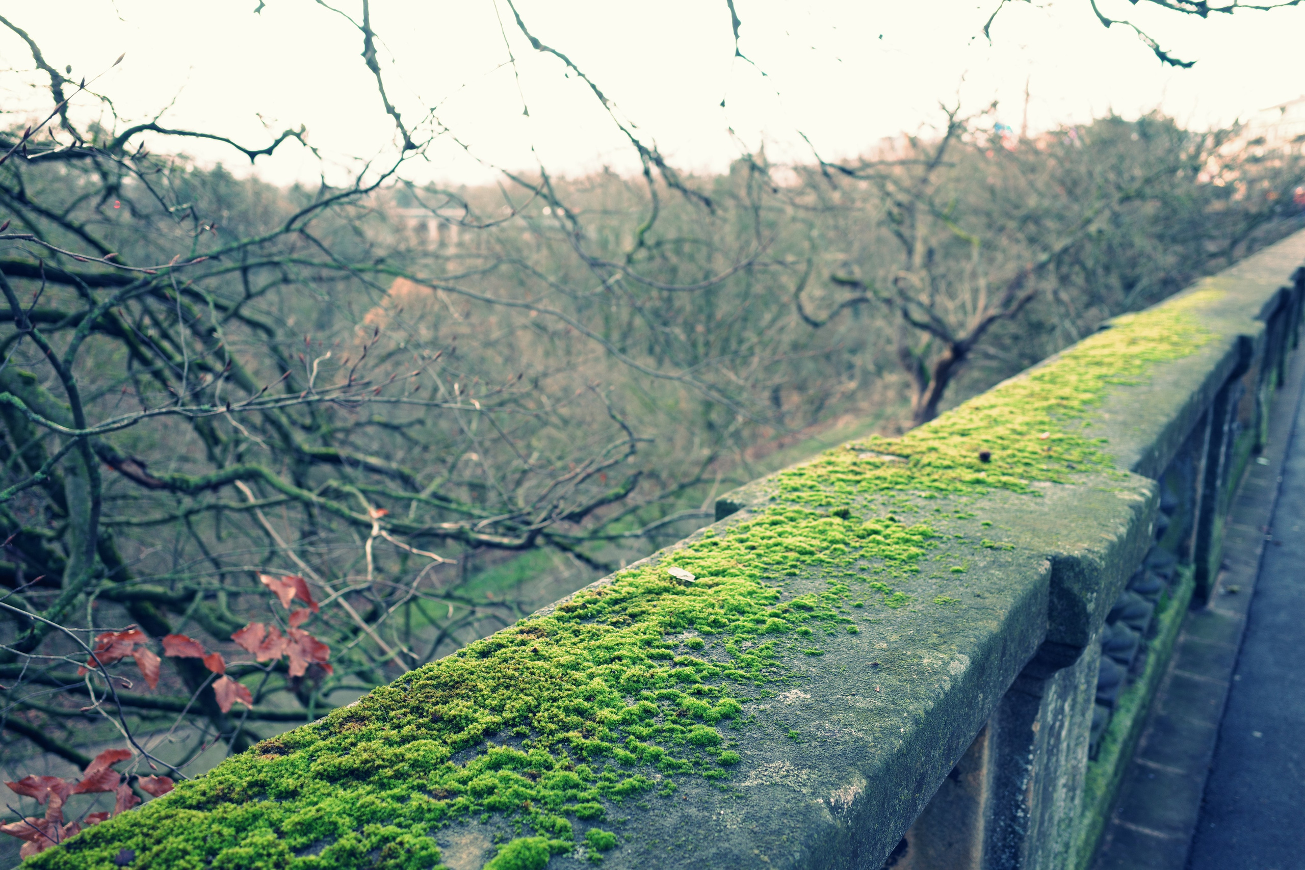 Люксембург. Фотографирую для себя, своей семьи и друзей!