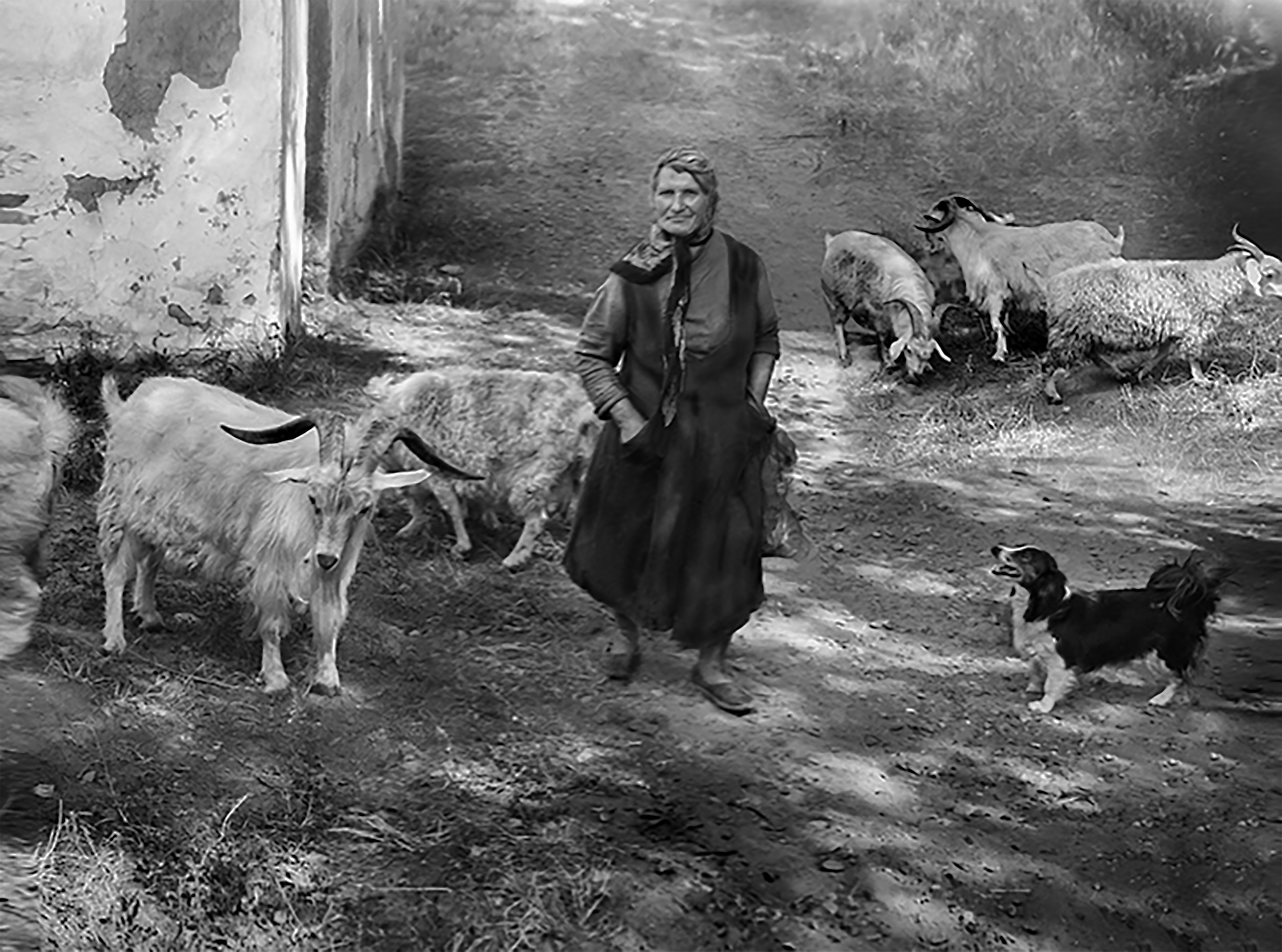 Авторские фото 90-х. Предметная фотография. Персональный сайт Сергея Ру. город Минусинск