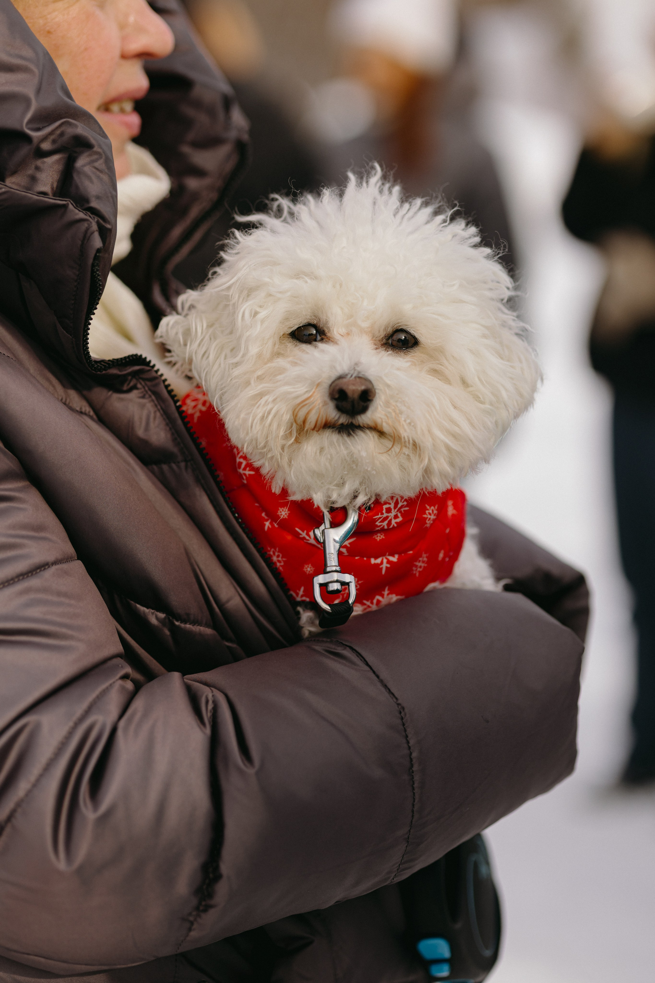Масленица. Фотограф Эльмира Лин