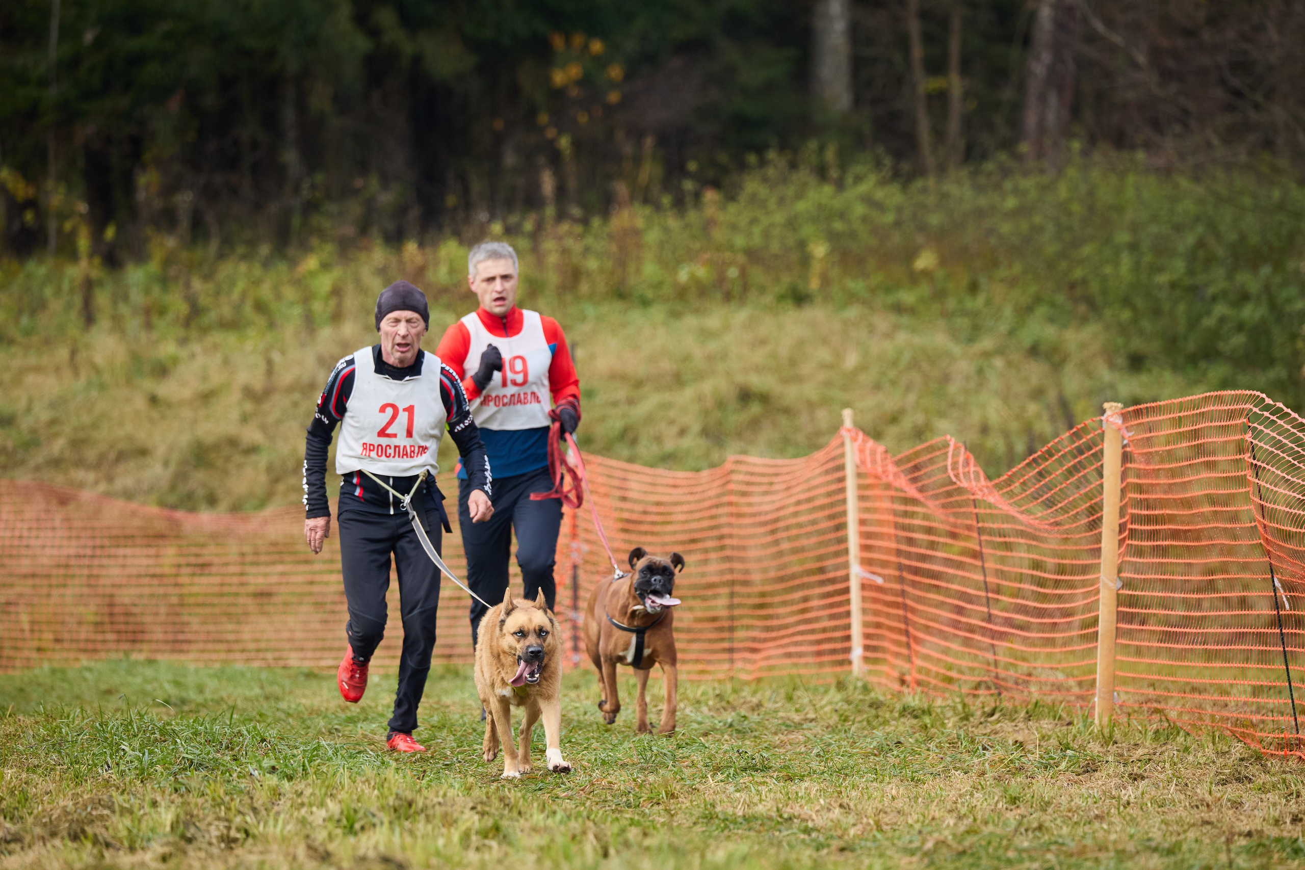 Чемпионат по ЕС Ярославской области. Фотограф Ирина Астор