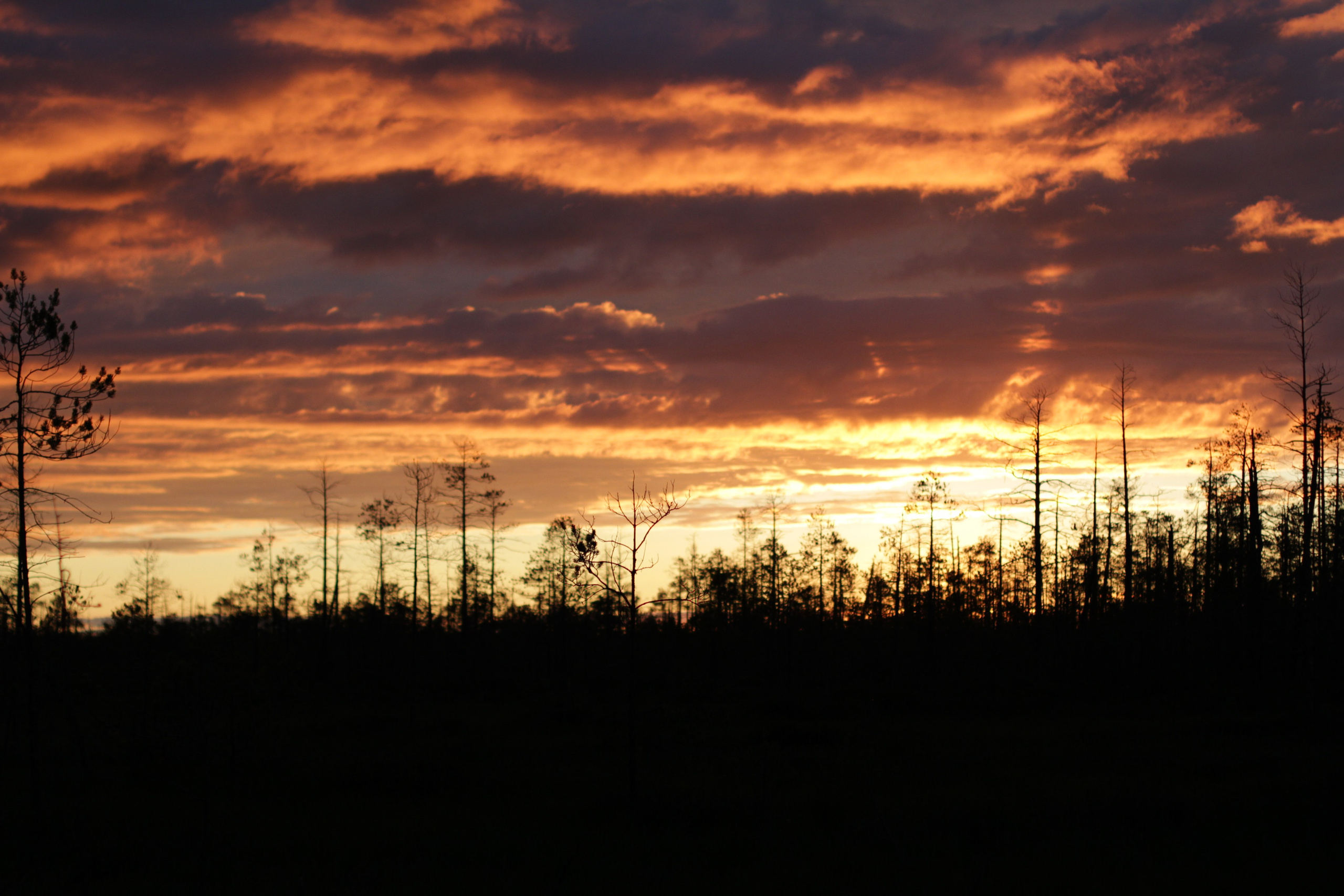 The last protector of Imlor lake. Documentary photographer, film maker and storyteller