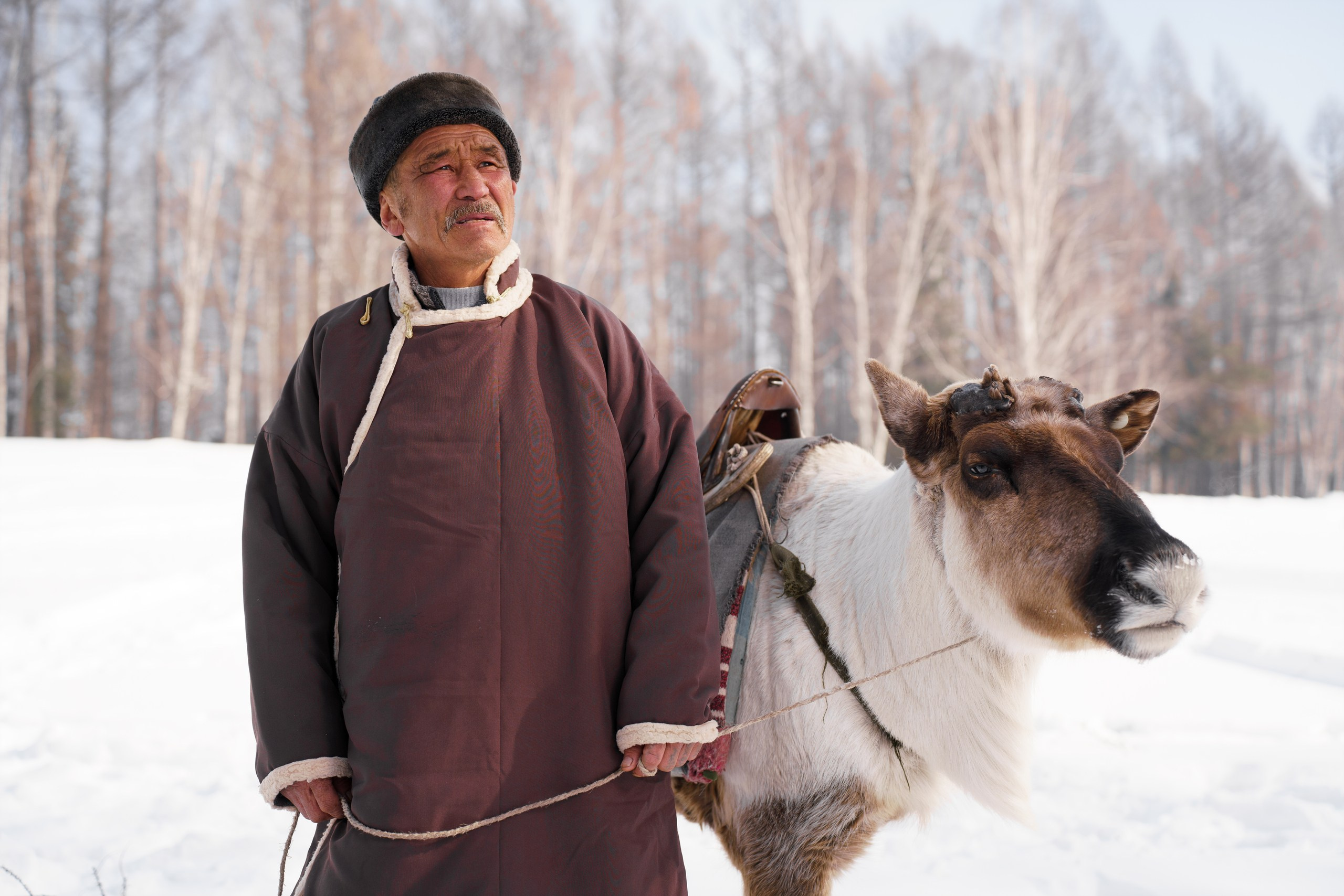 В олене жизнь. Фотограф в Красноярске Нерозя Александр. Пейзаж, природа, портрет
