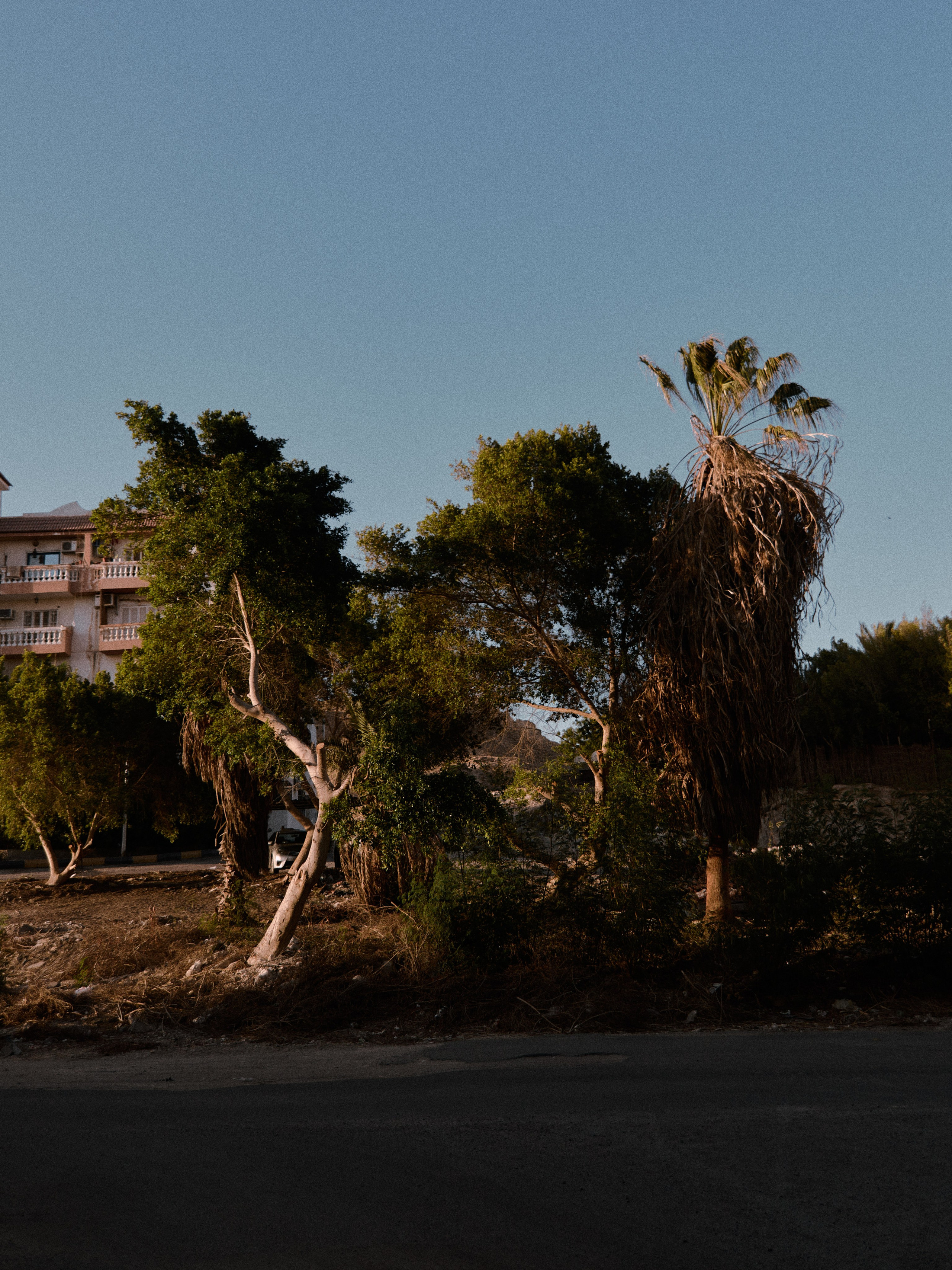 Улицы. Jorgis Talè — photographer, kind person, teacher of arts and other mag