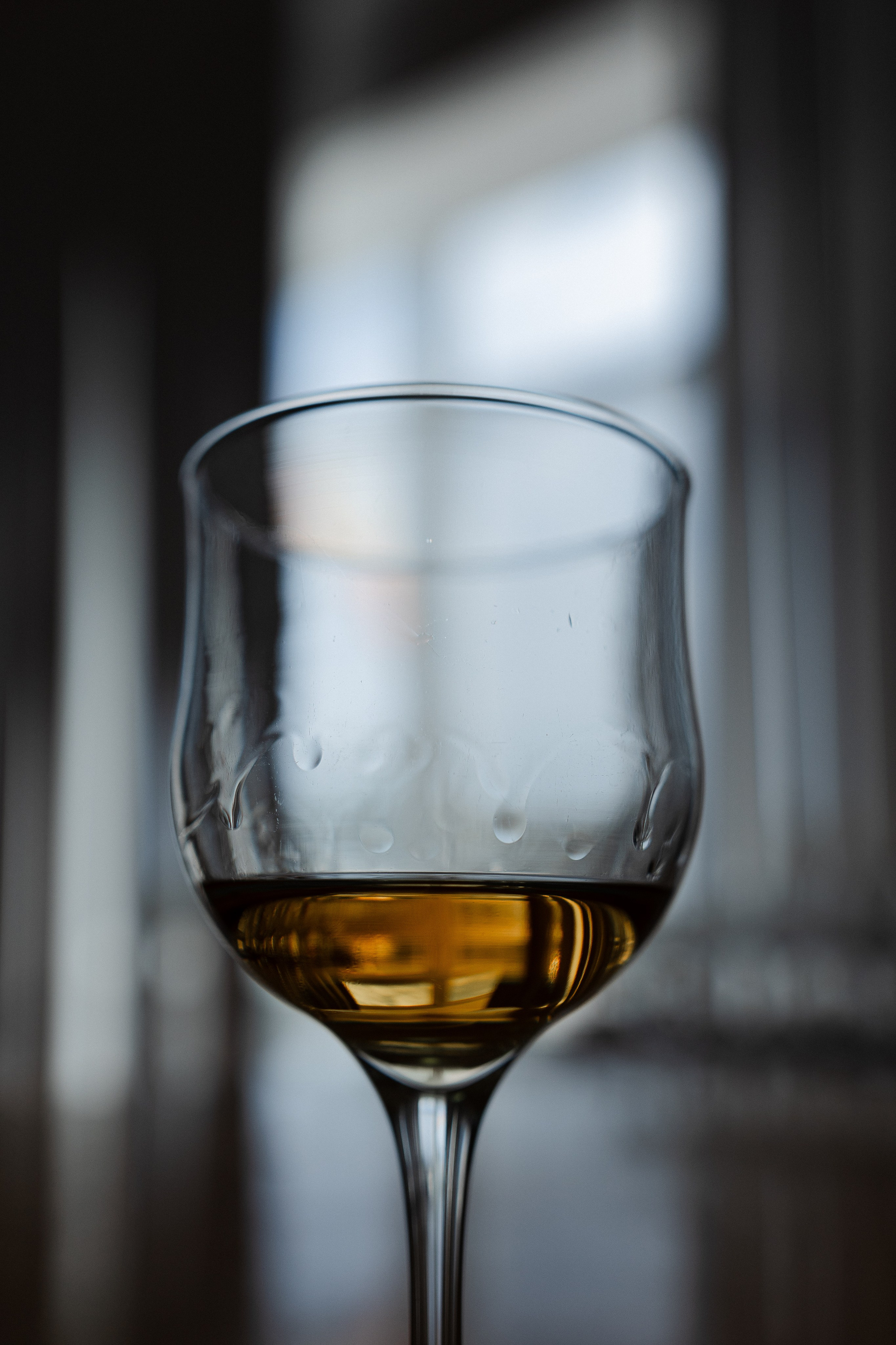 Виноградный завод. Евгения Волошина Фотограф Москва / Белгород